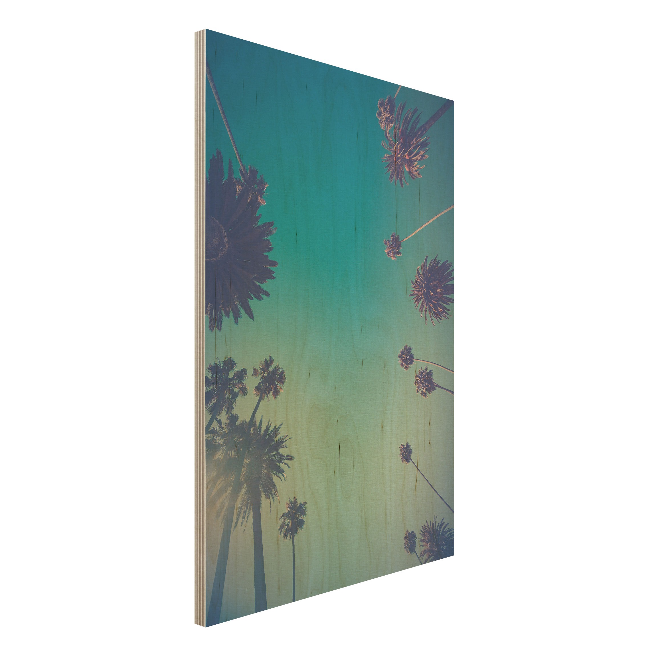 Holzbild Tropische Pflanzen Palmen und Himmel II