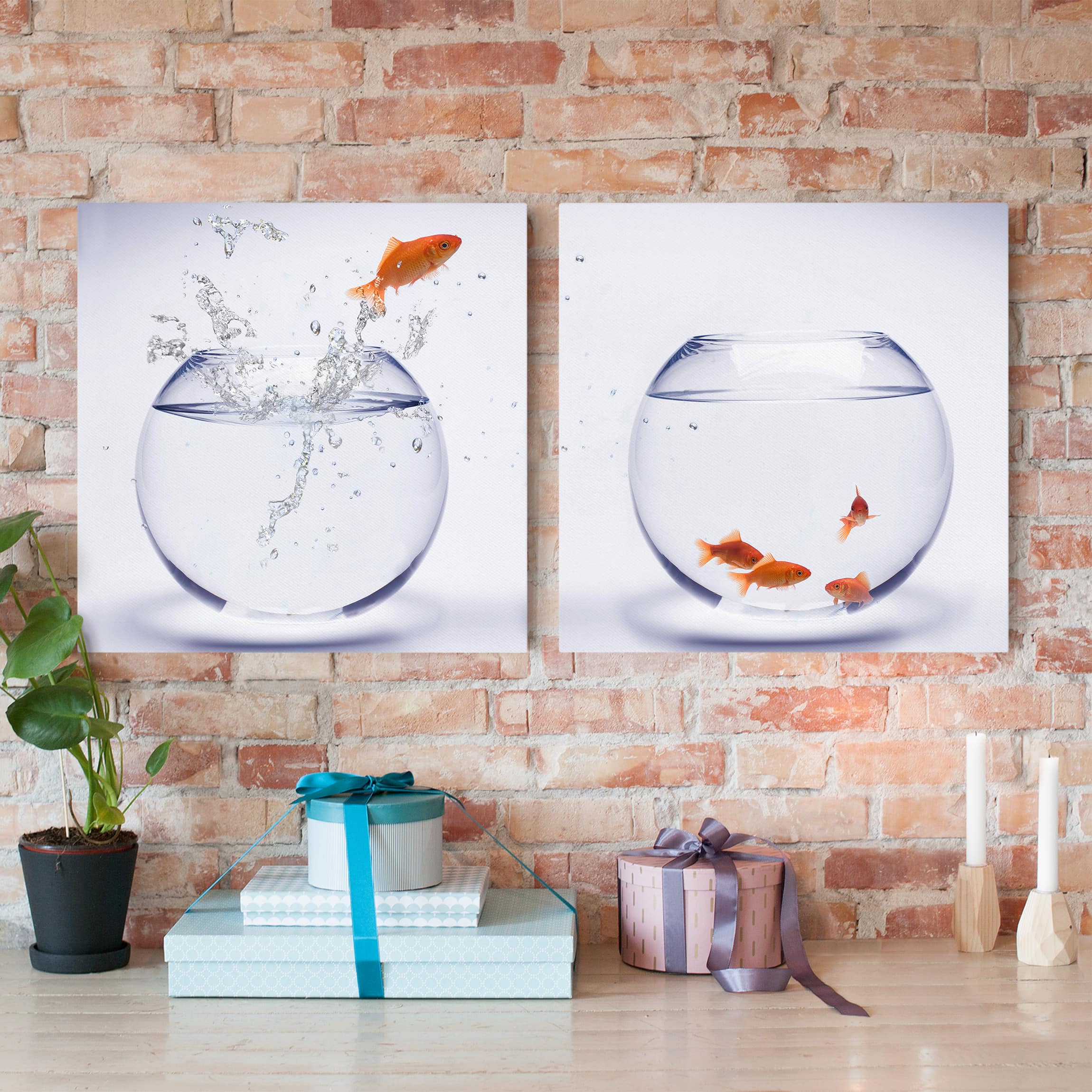 2-teiliges Leinwandbild Tiere Flying Goldfish