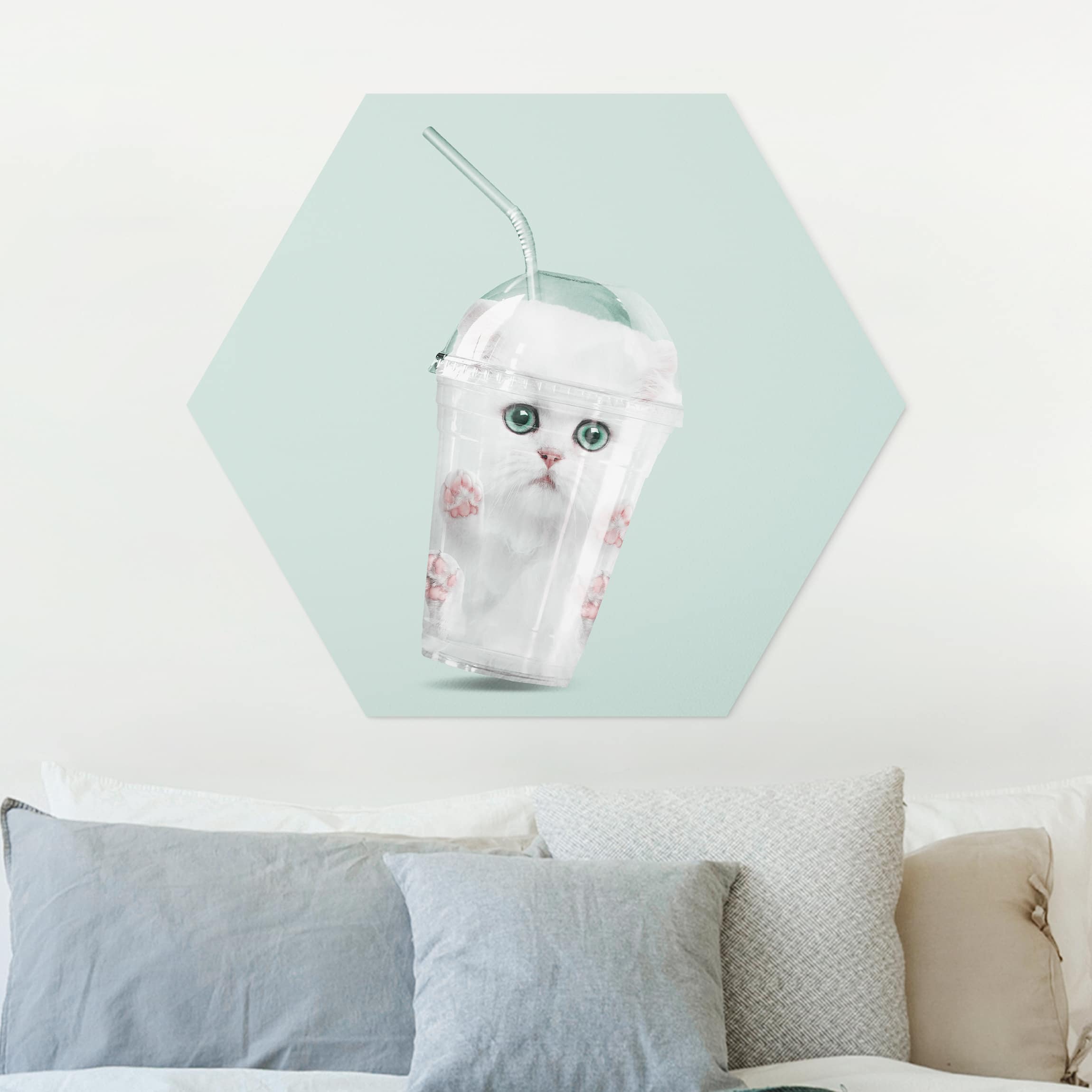 Hexagon-Forexbild Shake mit Katze