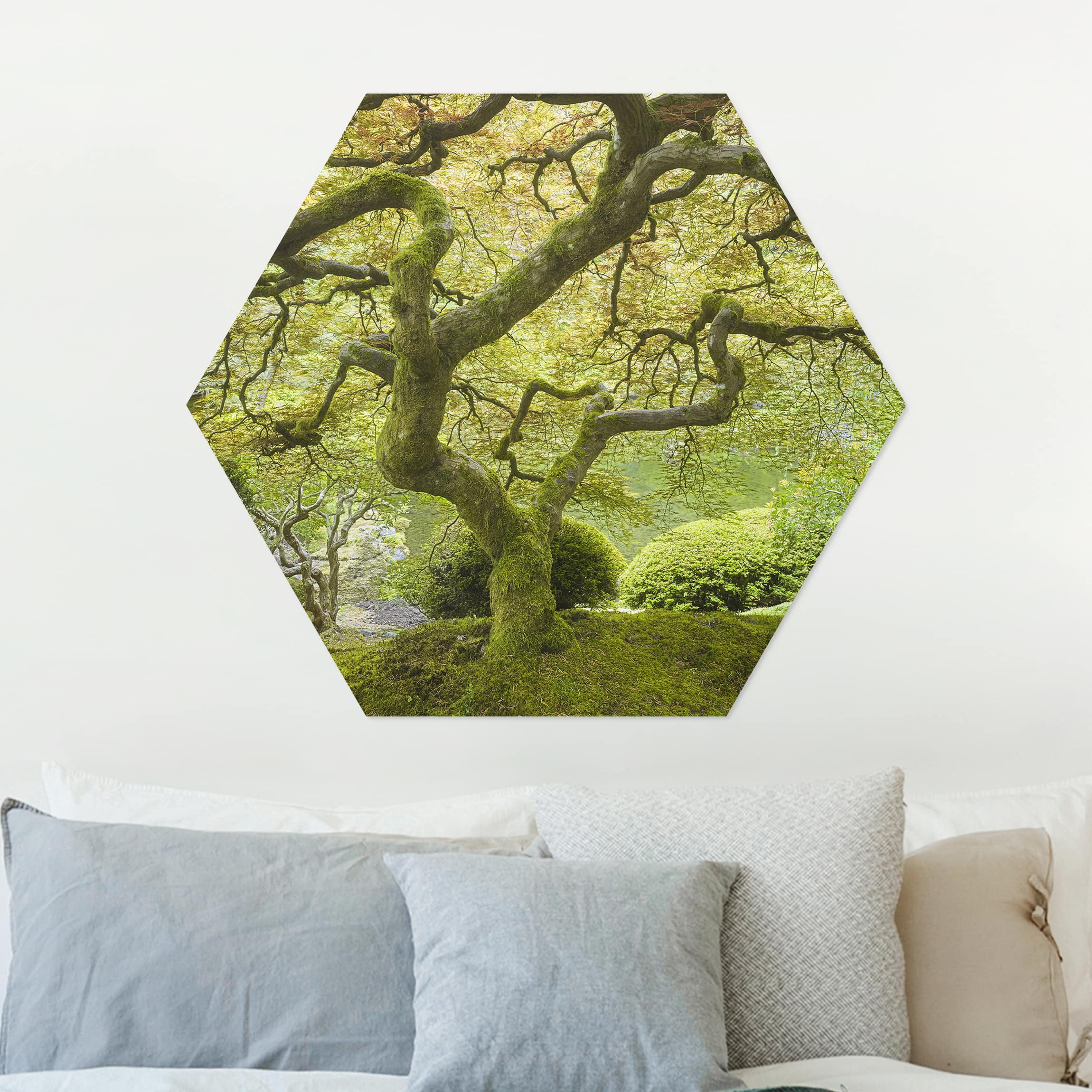 Hexagon-Alu-Dibond Bild Grüner Japanischer Garten