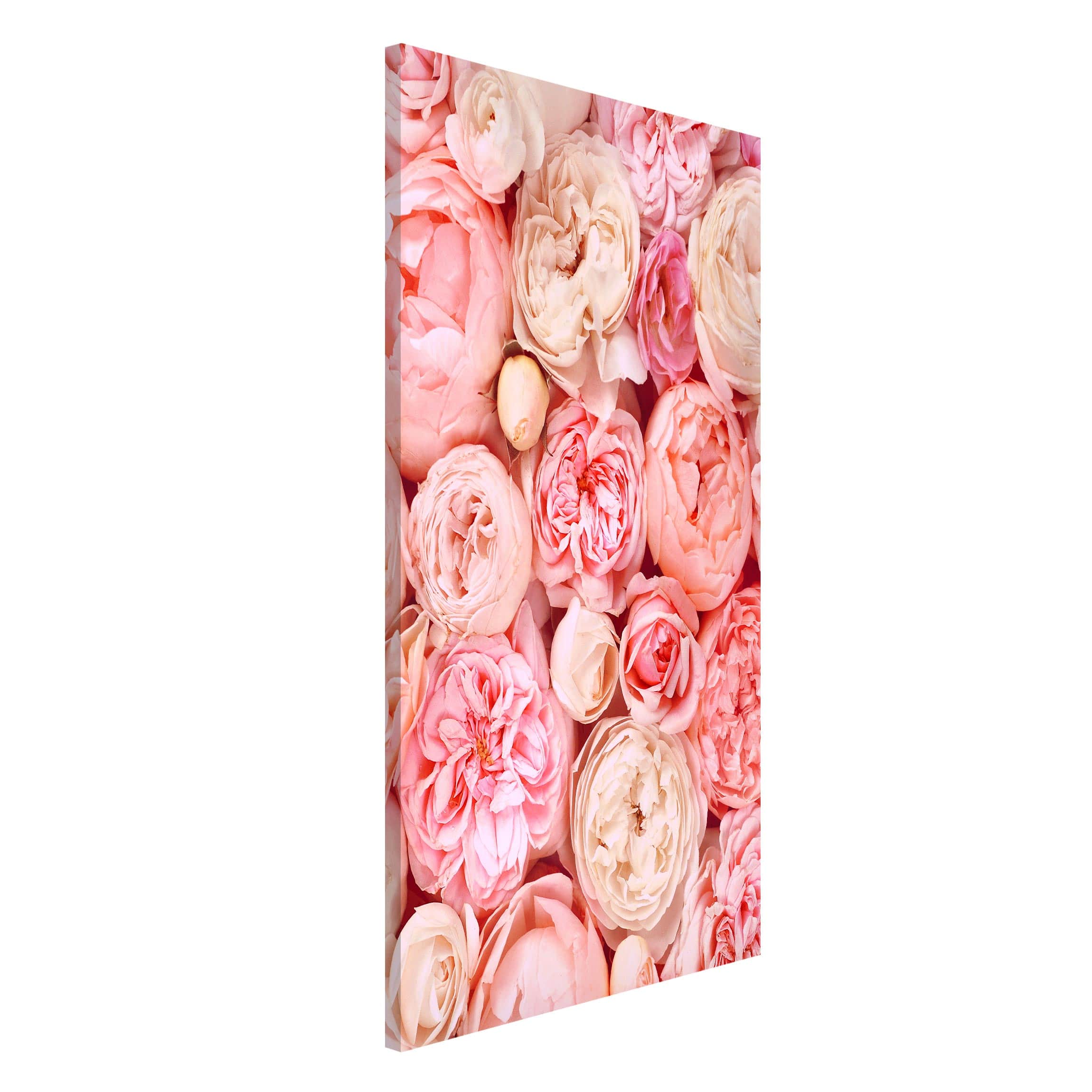Magnettafel - Hochformat 3:4 Rosen Rosé Koralle Shabby
