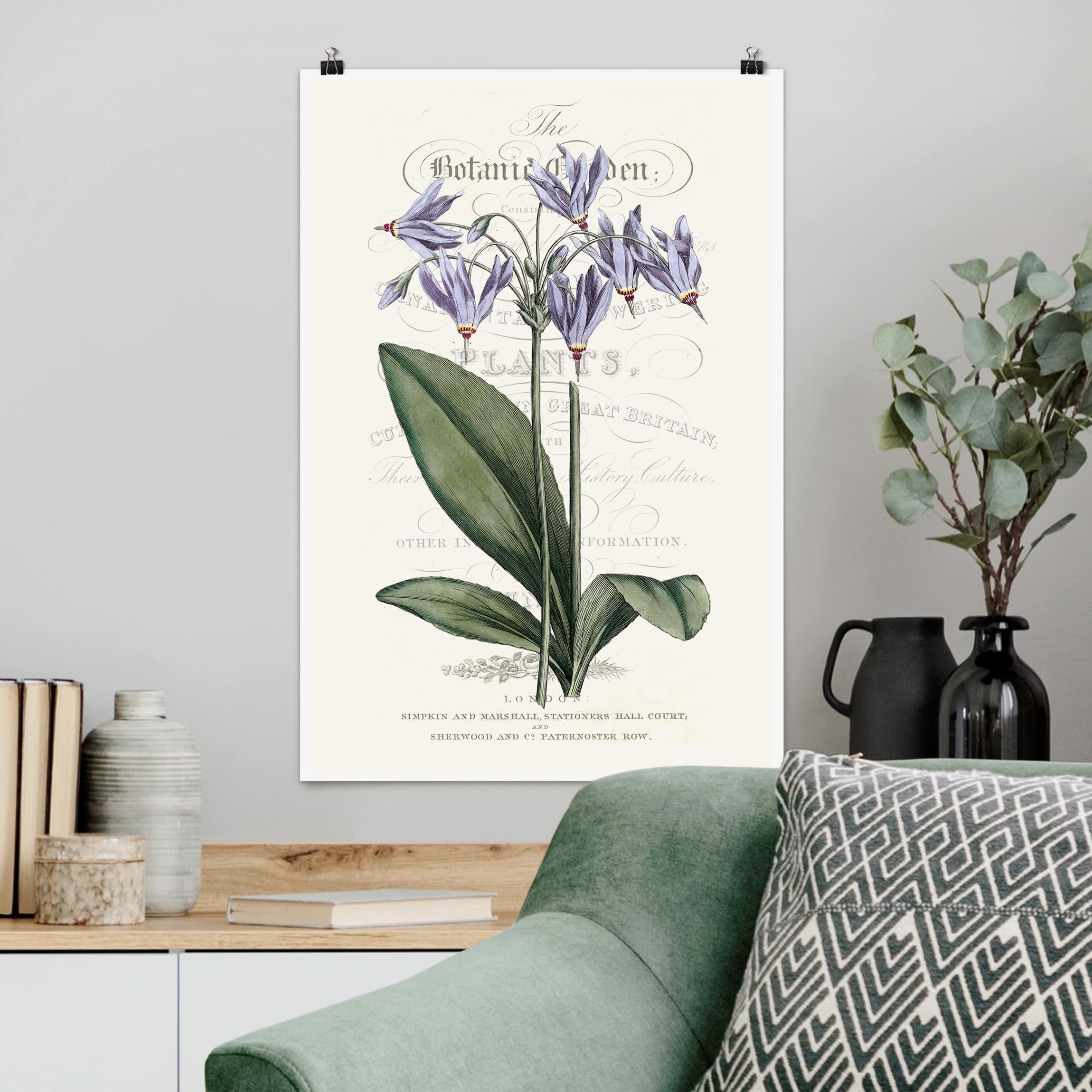 Poster - Hochformat Botanisches Tableau - Götterblume