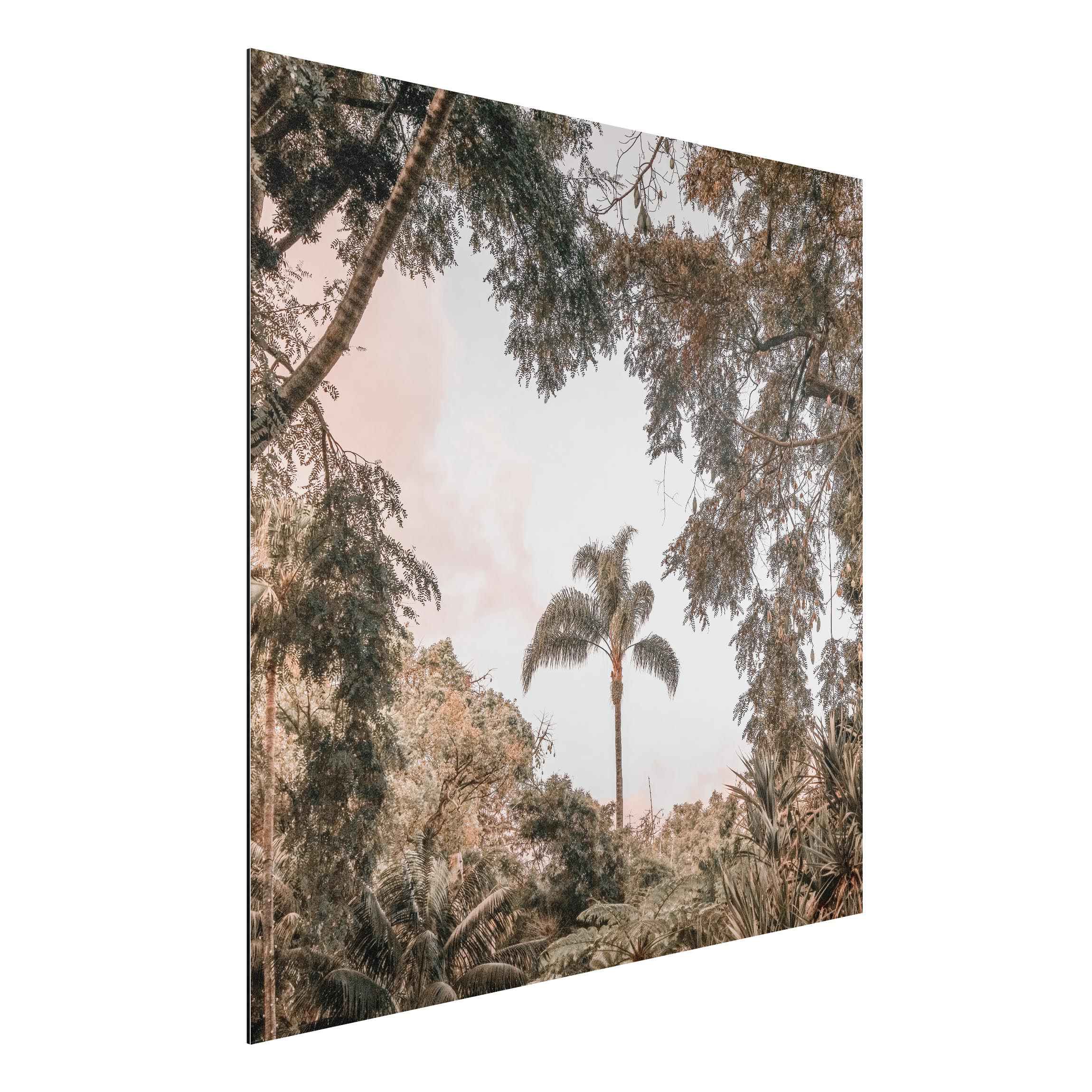 Alu-Dibond Bild Garten auf Madeira