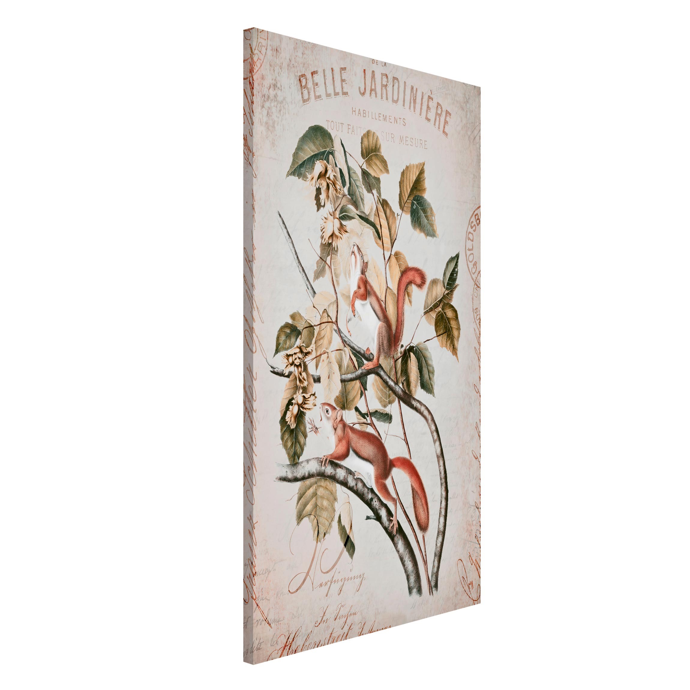 Magnettafel - Hochformat 3:4 Shabby Chic Collage - Eichhörnchen