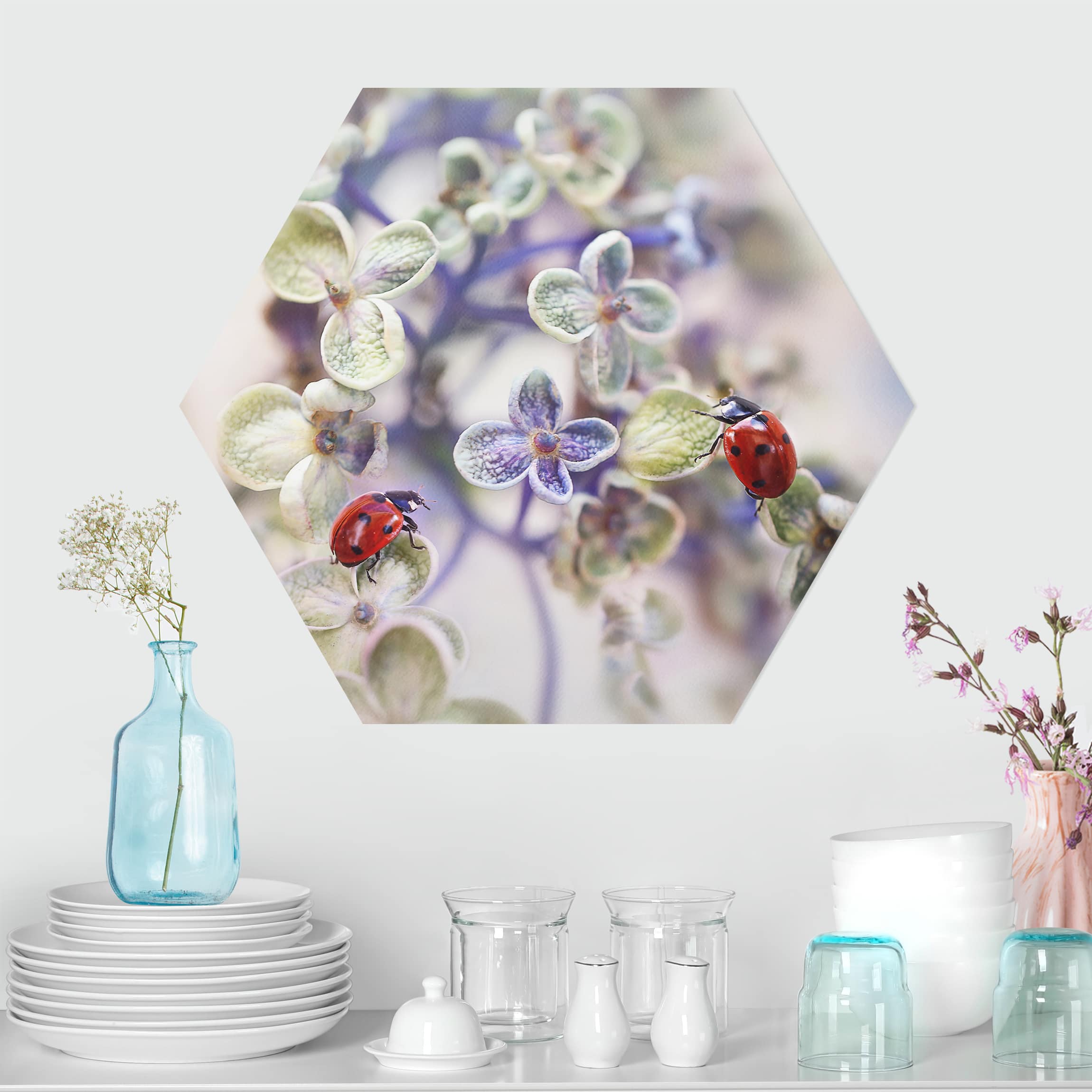 Hexagon-Forexbild Marienkäfer im Garten