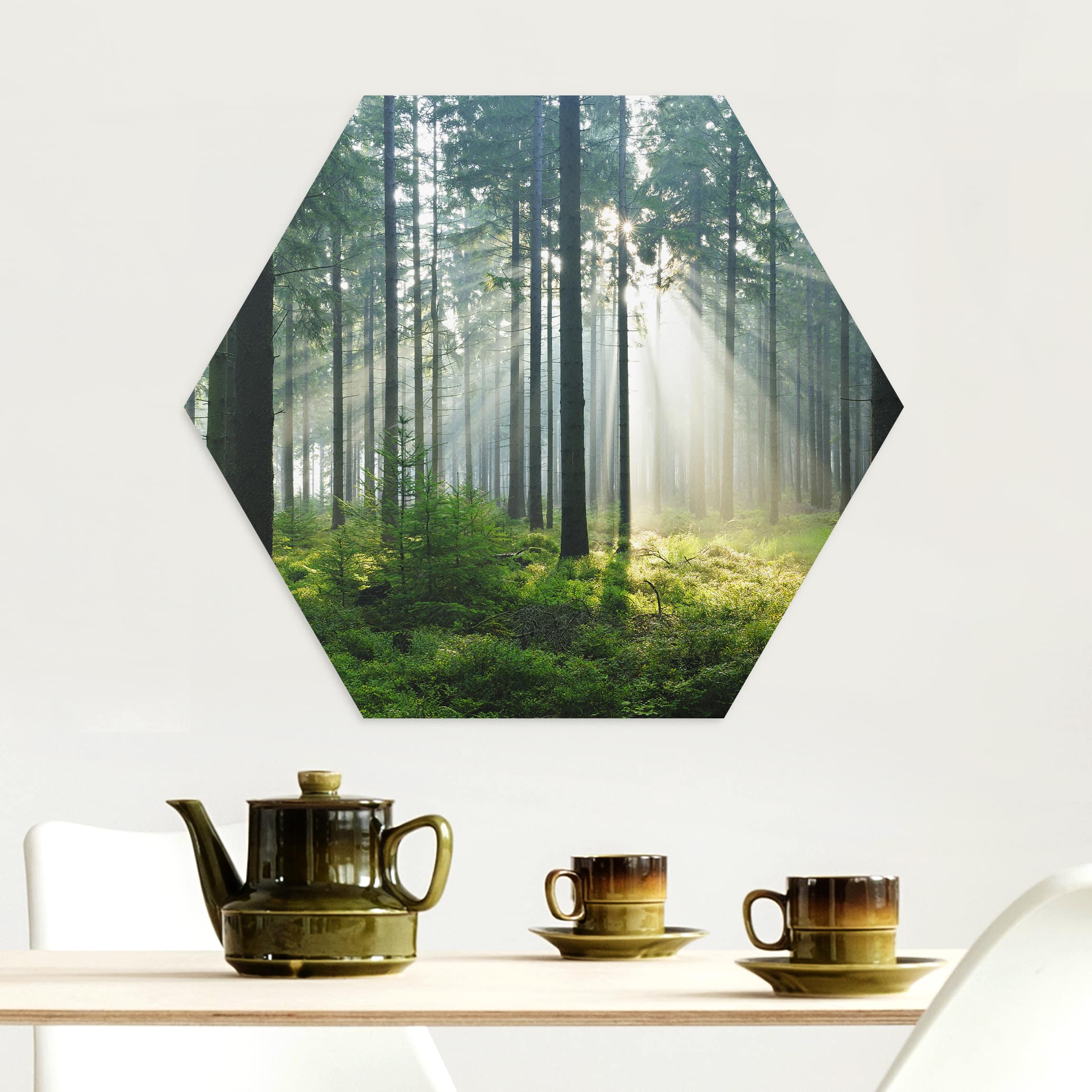 Hexagon-Alu-Dibond Bild Enlightened Forest