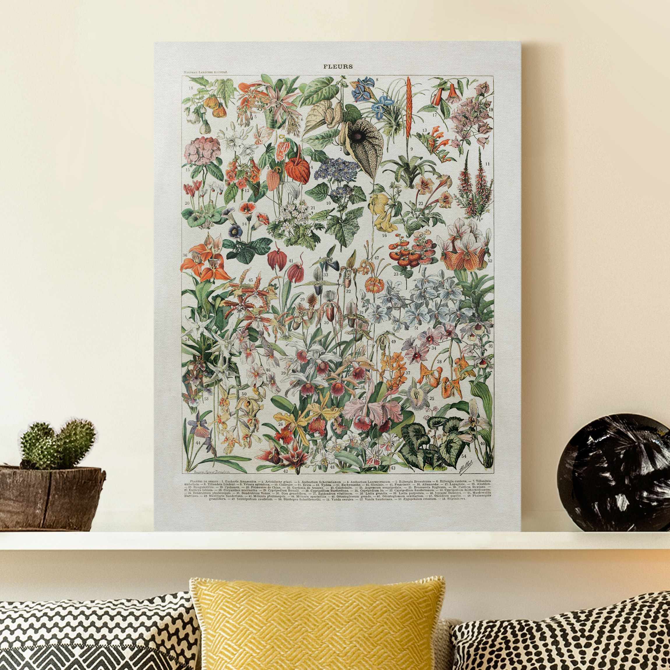 Leinwandbild Vintage Lehrtafel Blumen III