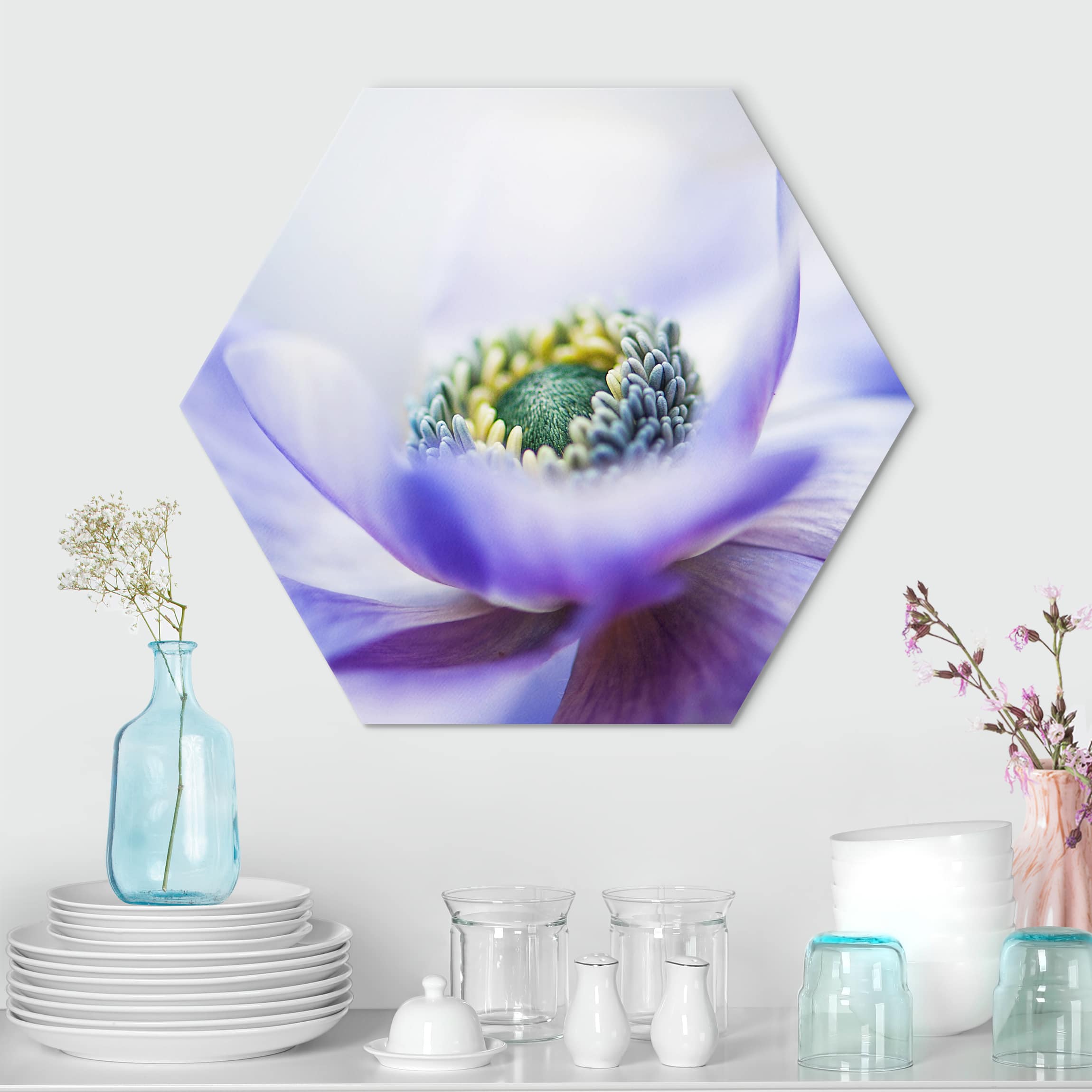 Hexagon-Alu-Dibond Bild Anemone De Caen