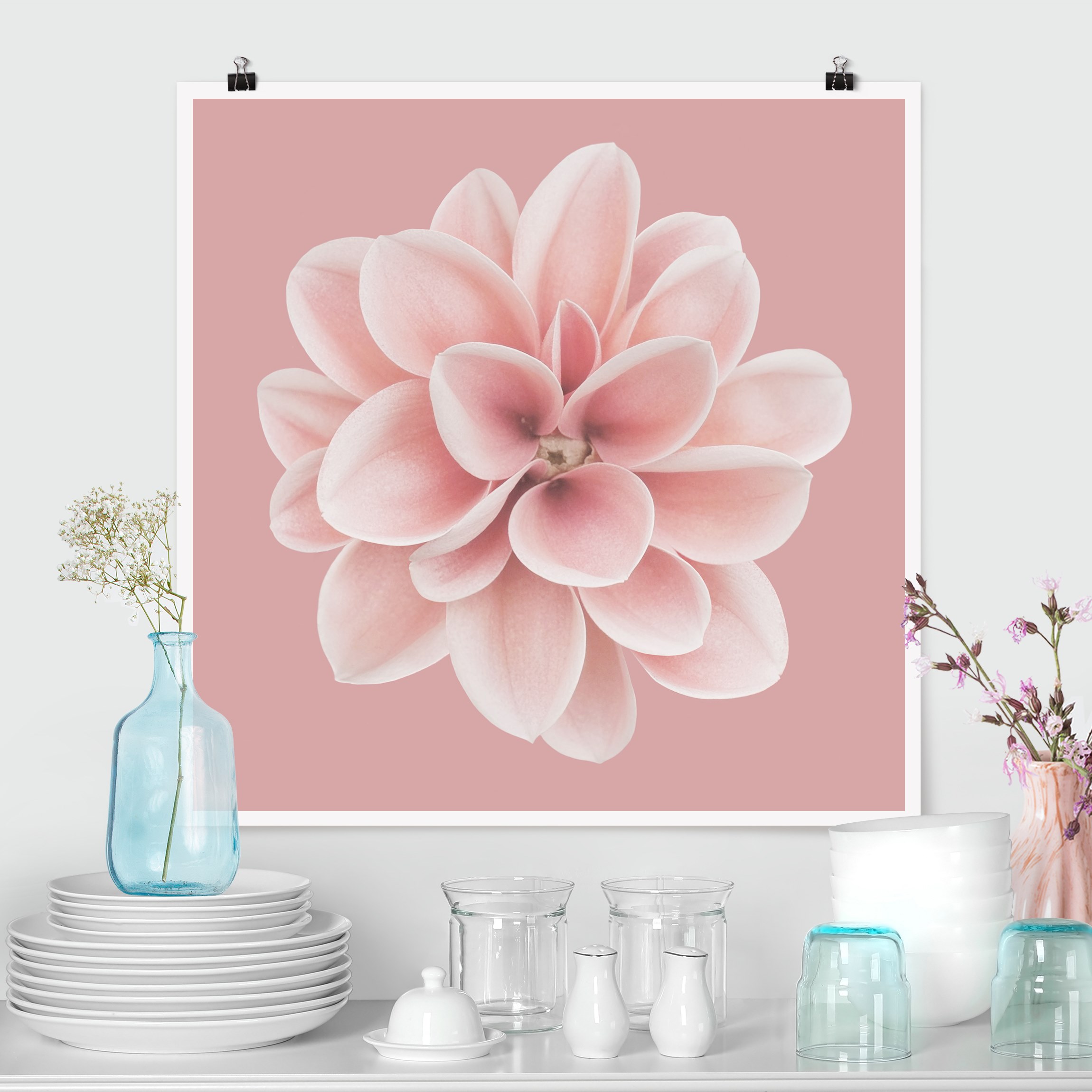 Poster Dahlie Rosa Blush Blume Zentriert