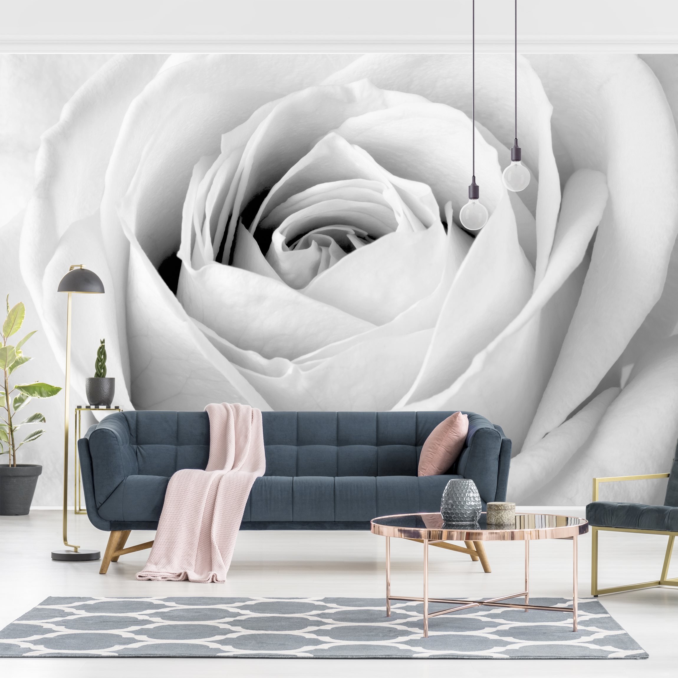 Fototapete Close Up Rose