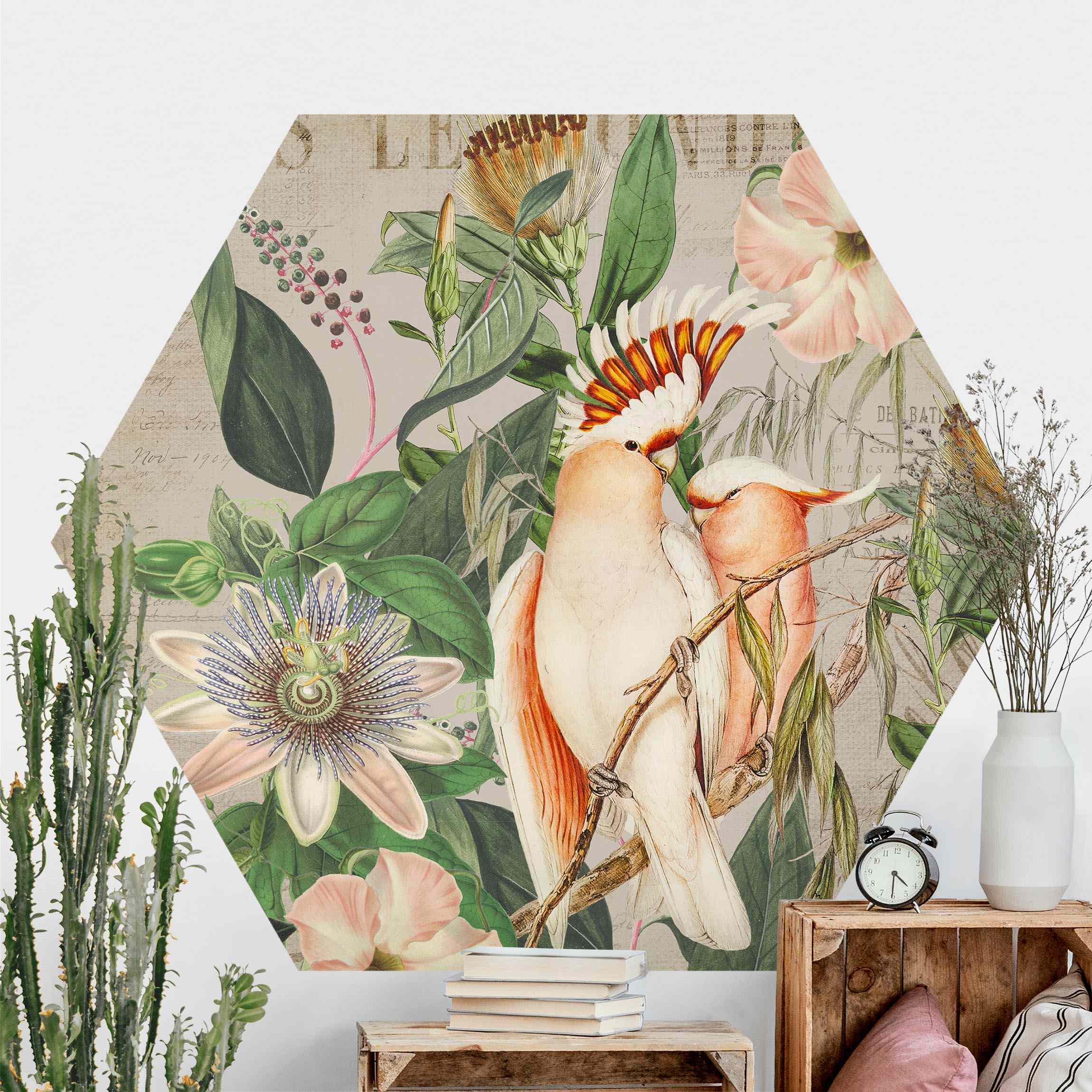 Hexagon Fototapete selbstklebend Colonial Style Collage - Rosa Kakadu