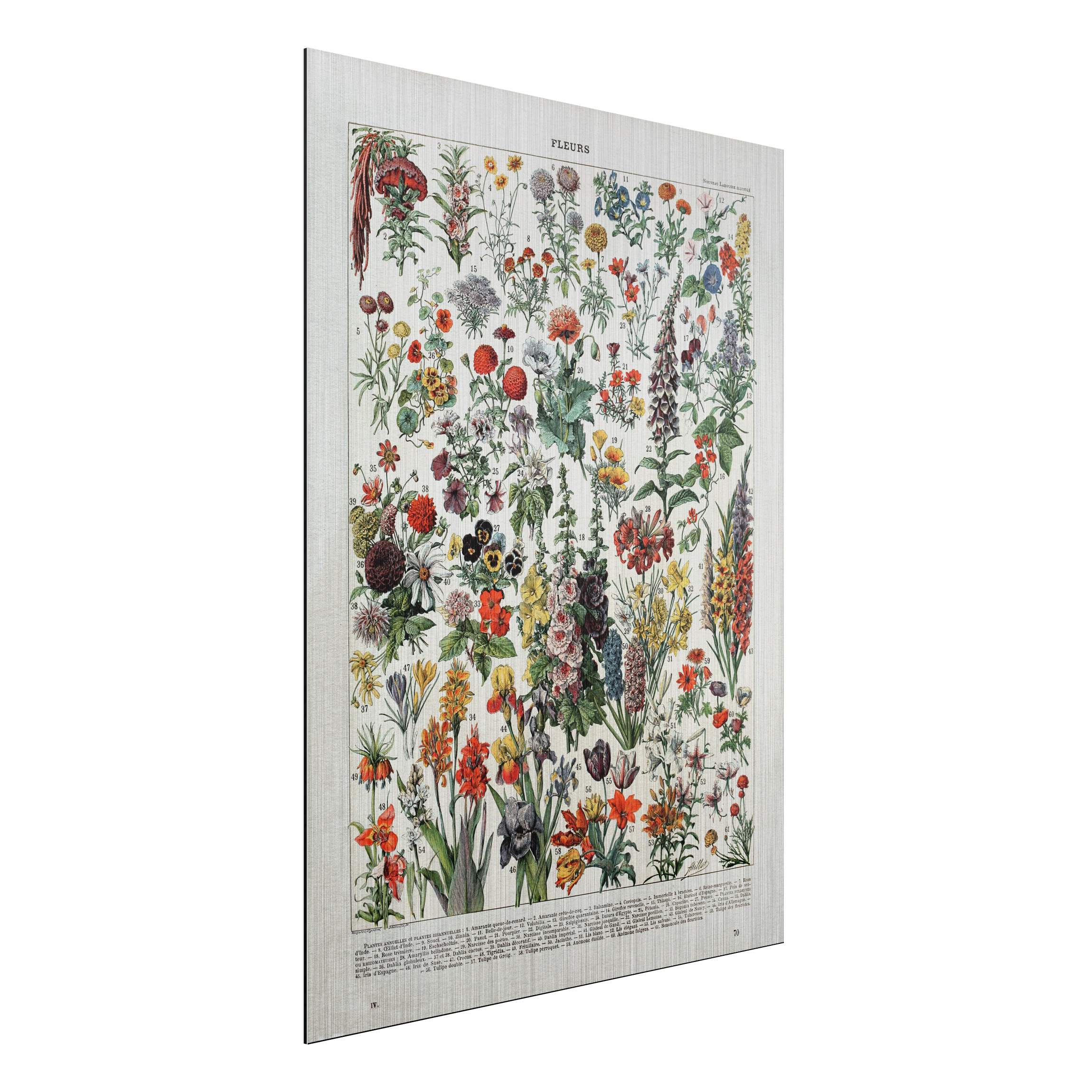 Alu-Dibond Outdoor Bild Vintage Lehrtafel Blumen IV