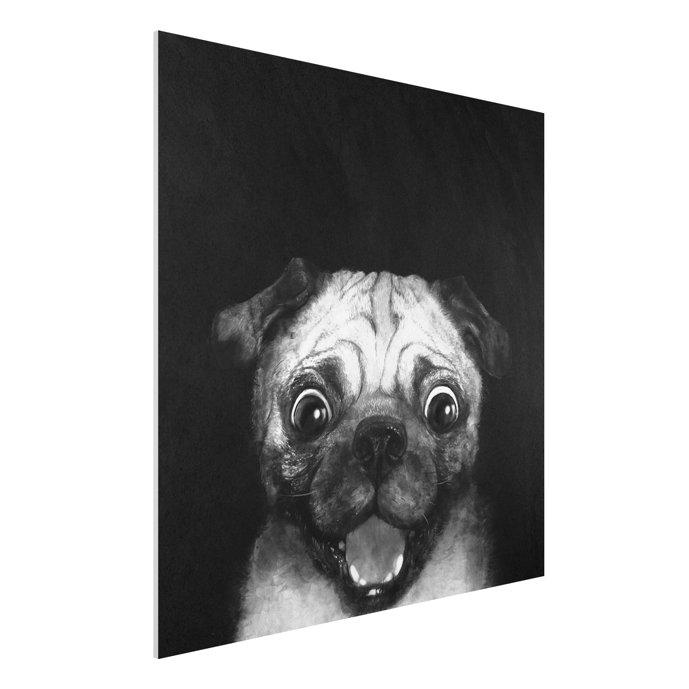 Forexbild - Quadrat Illustration Hund Mops Malerei auf Schwarz Weiß