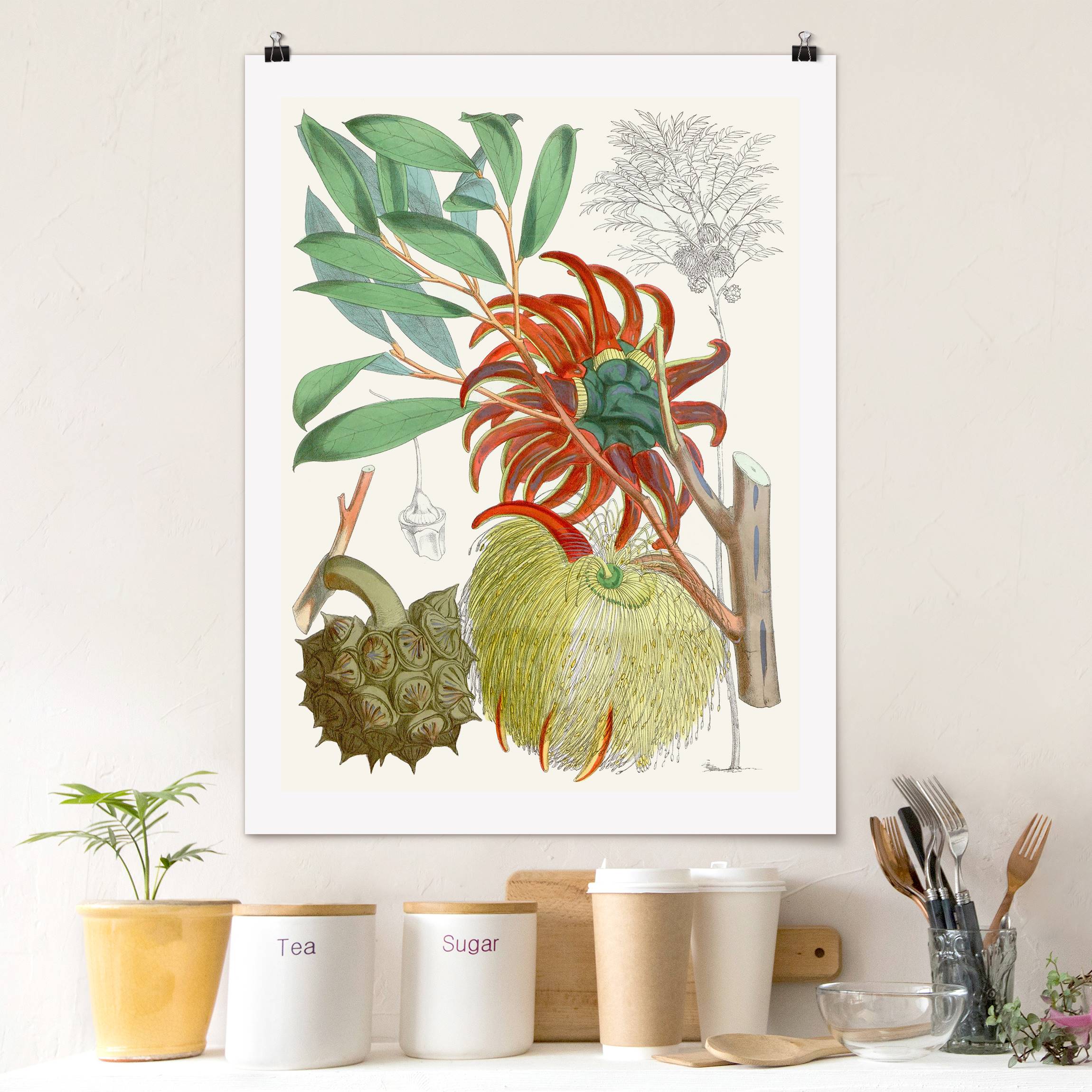 Poster Vintage Illustration Tropische Blüten II