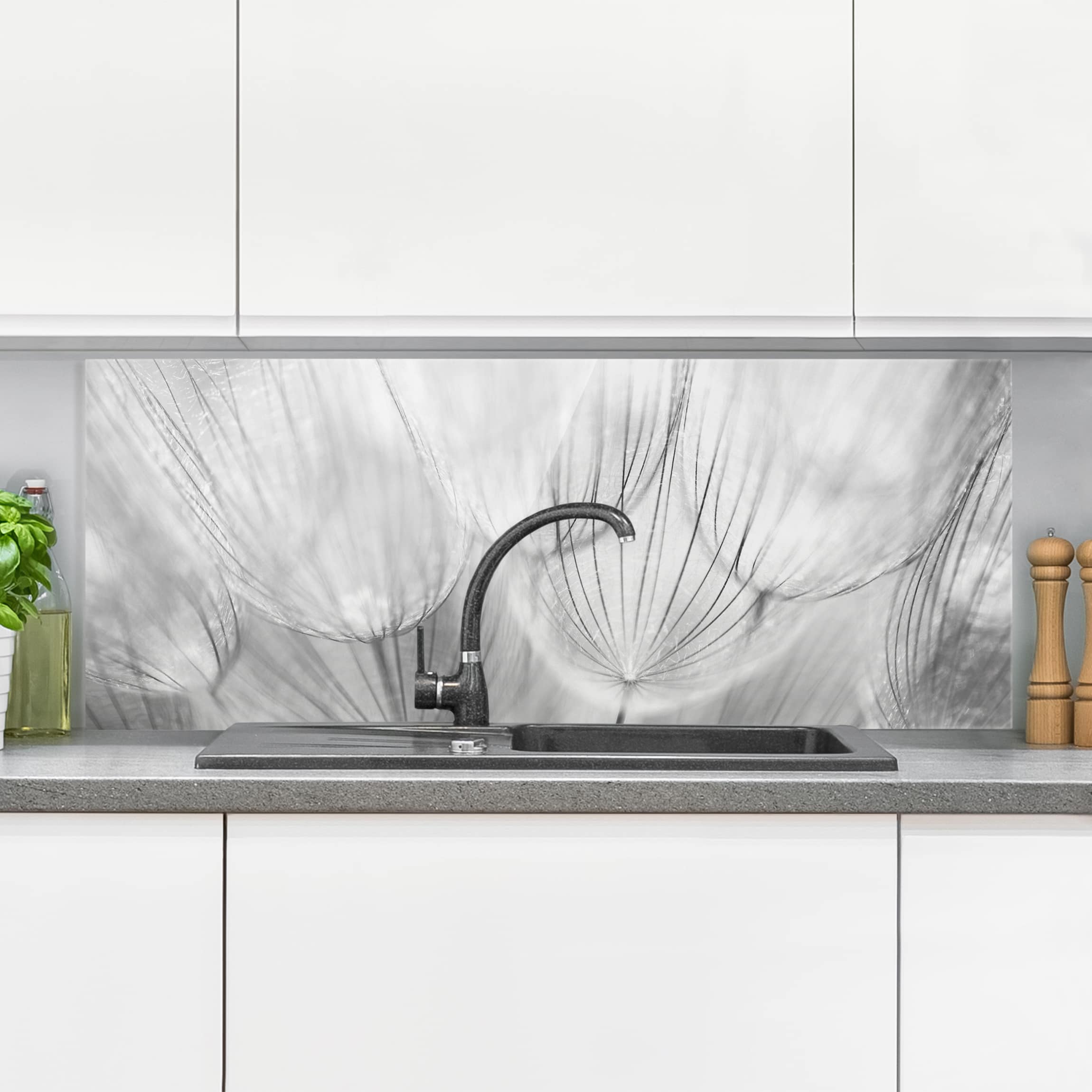 Glas Spritzschutz Pusteblumen Makroaufnahme in schwarz weiß