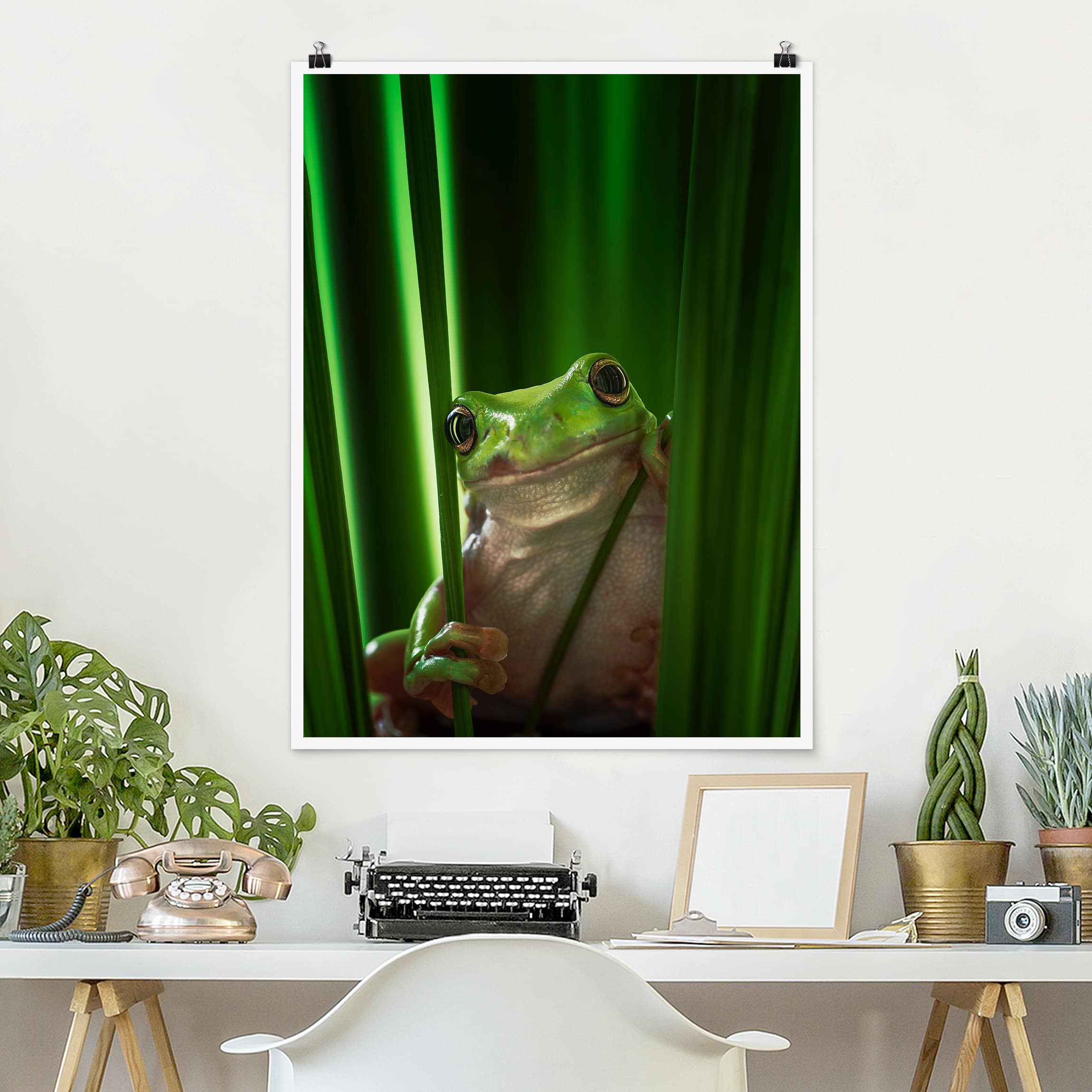 Poster Tiere Fröhlicher Frosch