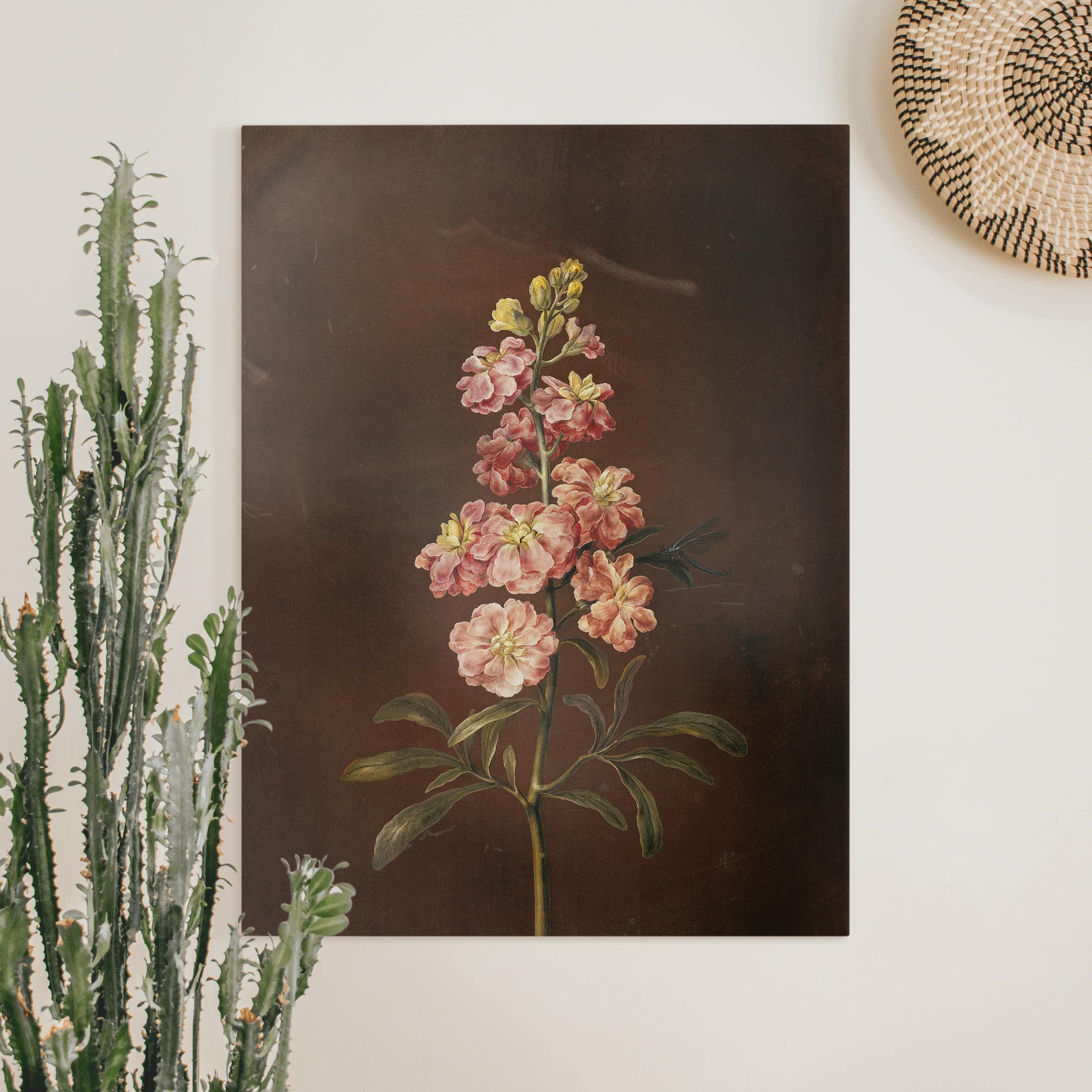 Leinwandbild - Hochformat Barbara Regina Dietzsch - Eine rosa Garten-Levkkoje