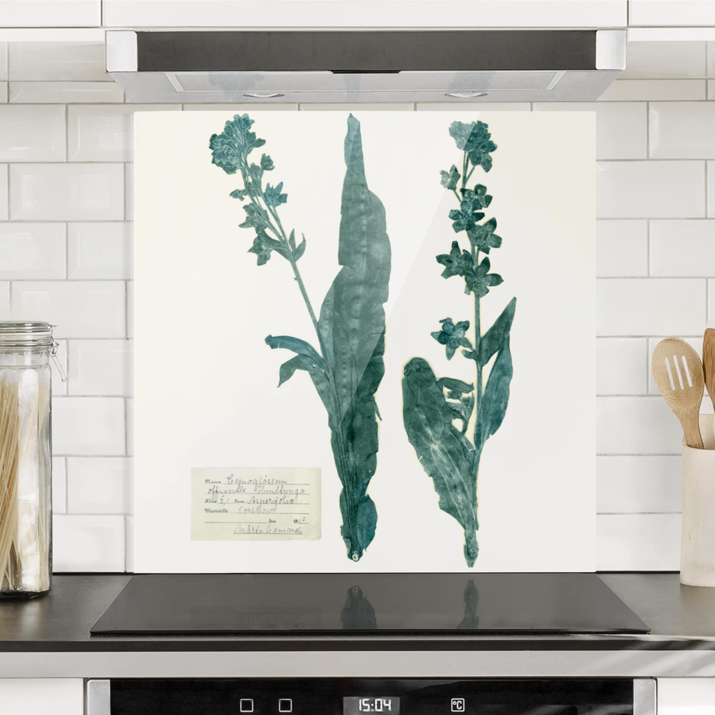 Spritzschutz Gepresste Blumen - Hundszunge