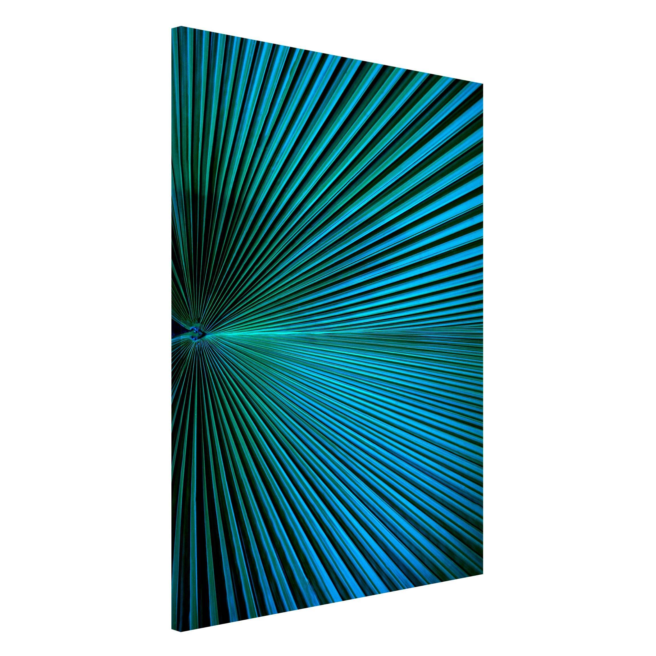 Magnettafel Tropische Pflanzen Palmenblatt in Türkis II