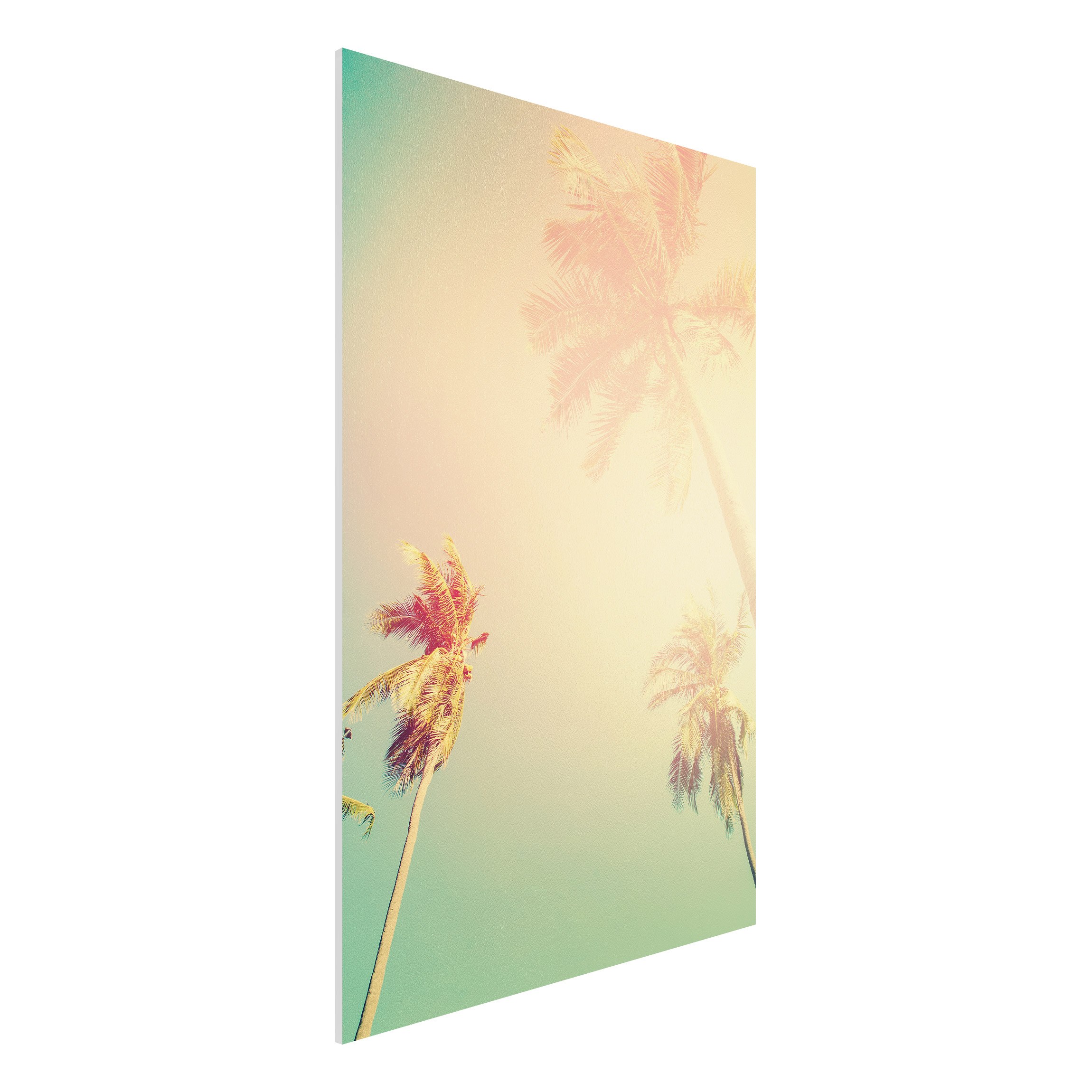 Forexbild - Hochformat Tropische Pflanzen Palmen bei Sonnenuntergang III