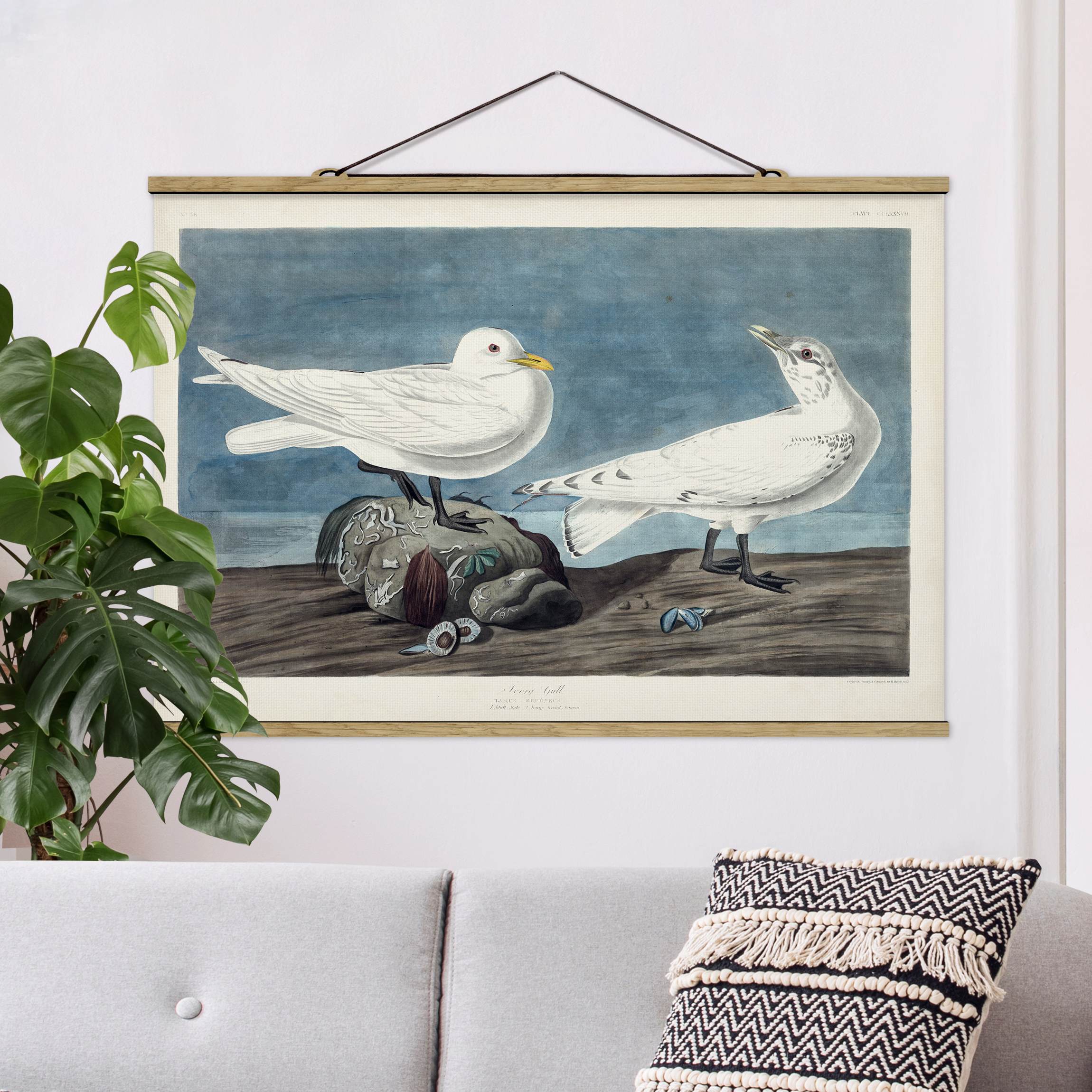 Stoffbild mit Posterleisten Vintage Lehrtafel Elfenbeinmöwe