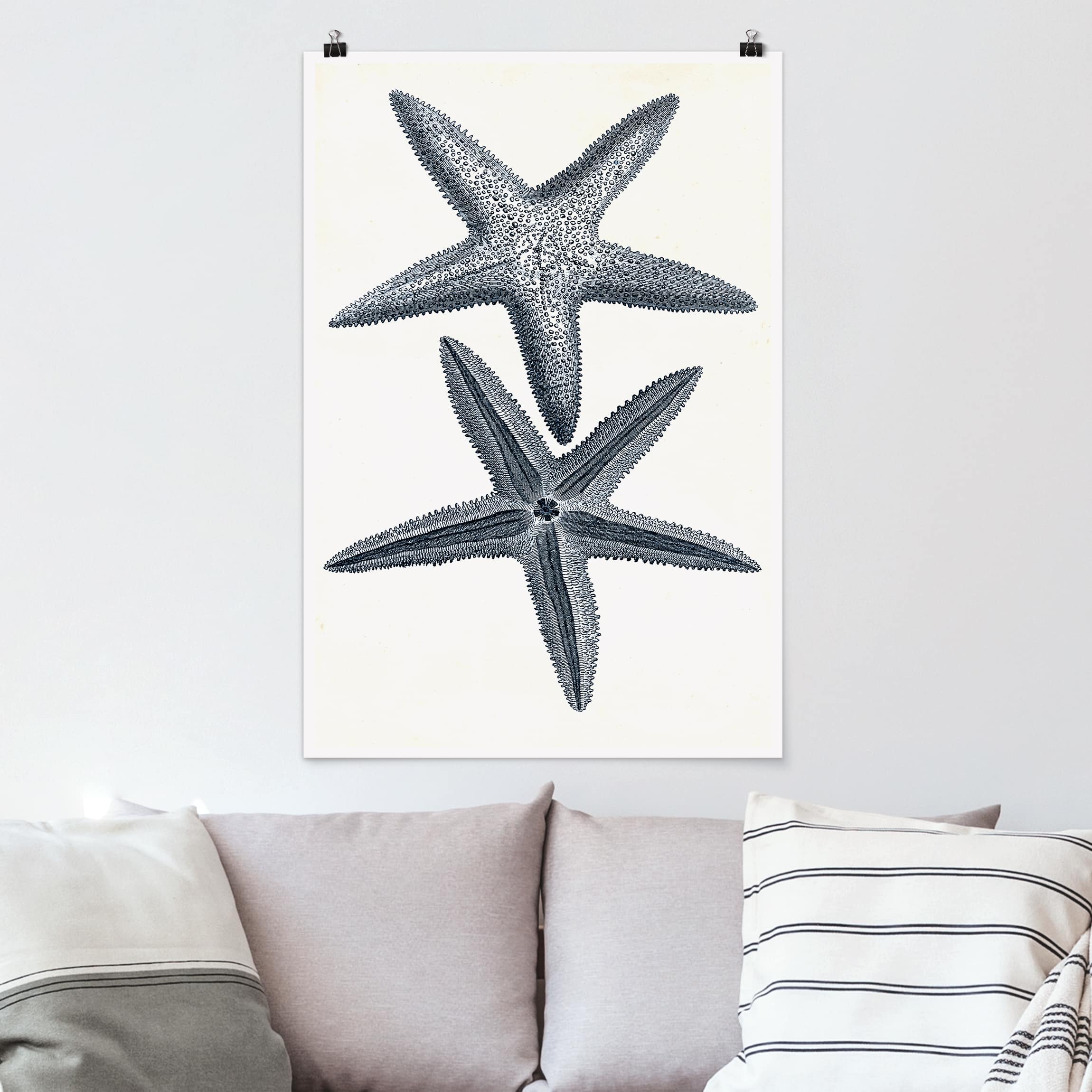 Poster - Hochformat Strandgut in Navy II