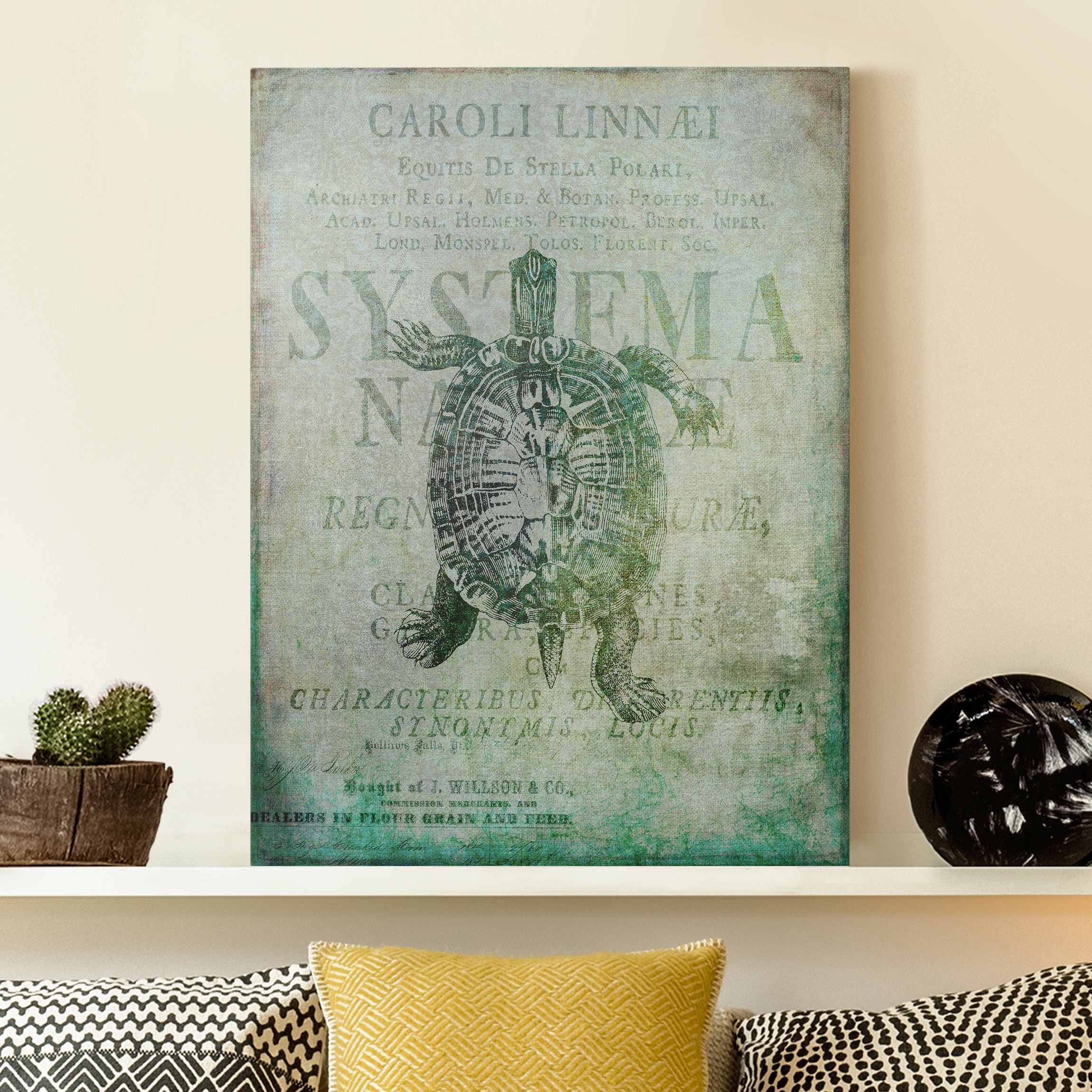 Leinwandbild Vintage Collage - Antike Schildkröte