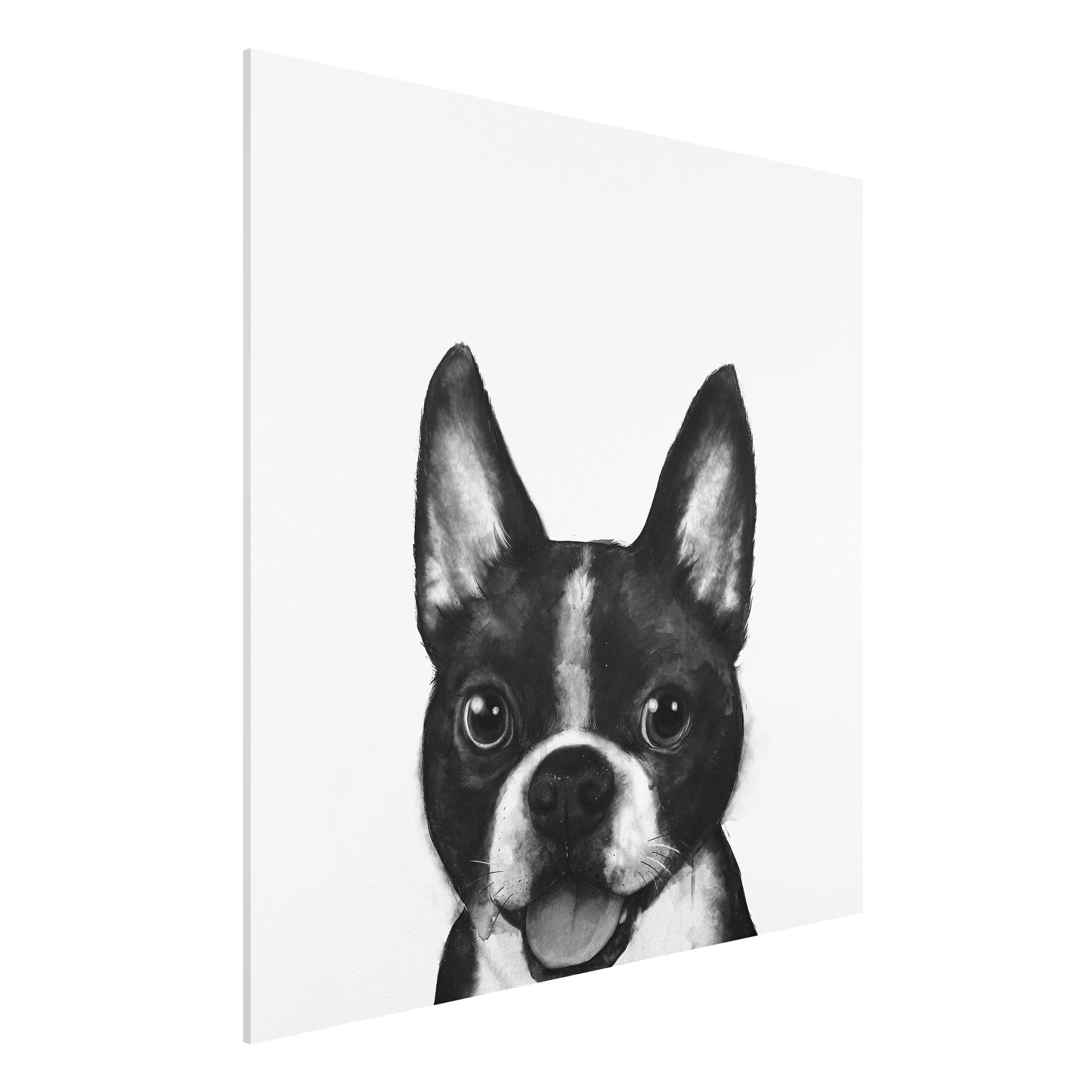 Forexbild Illustration Hund Boston Schwarz Weiß Malerei