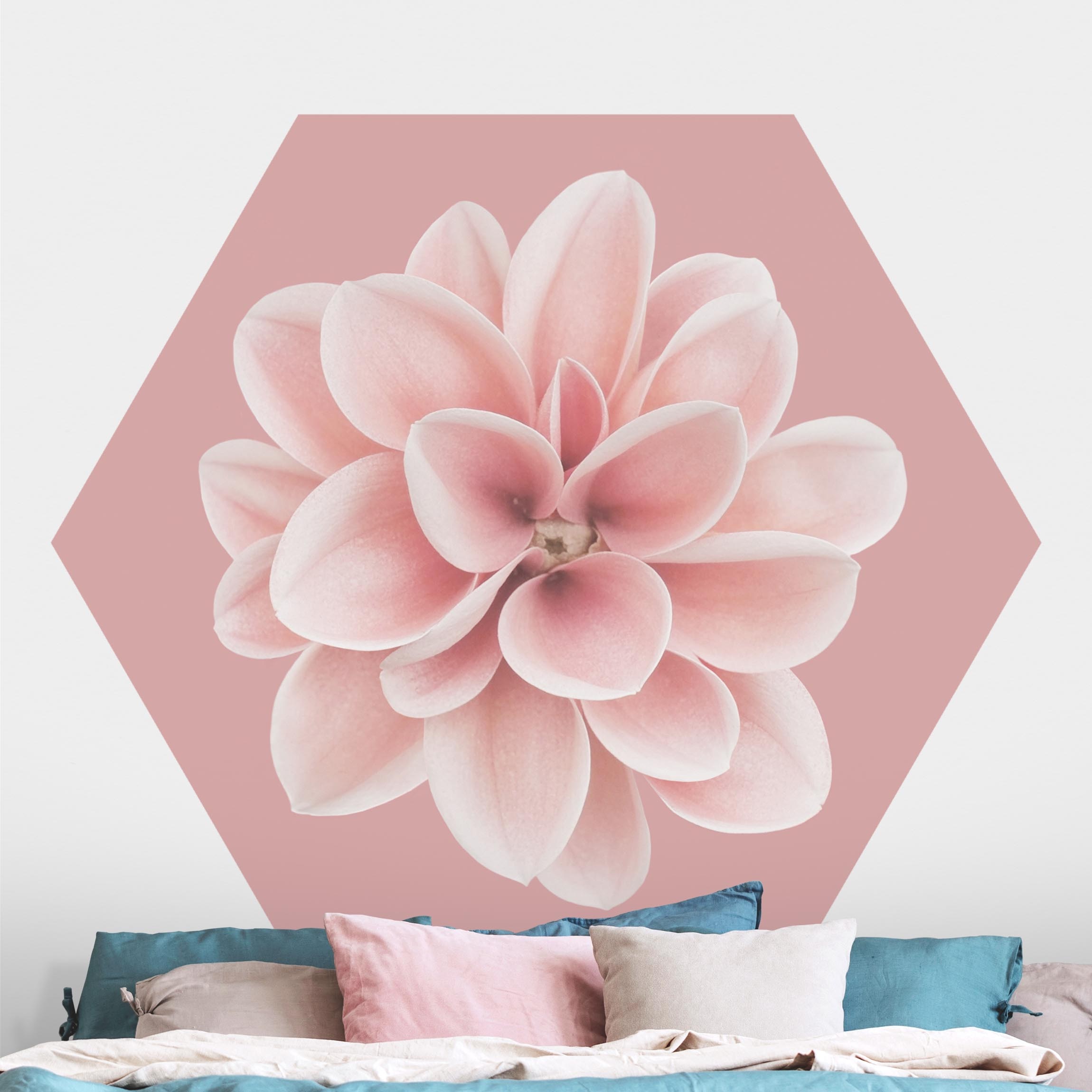 Hexagon Fototapete Dahlie auf Blush Rosa