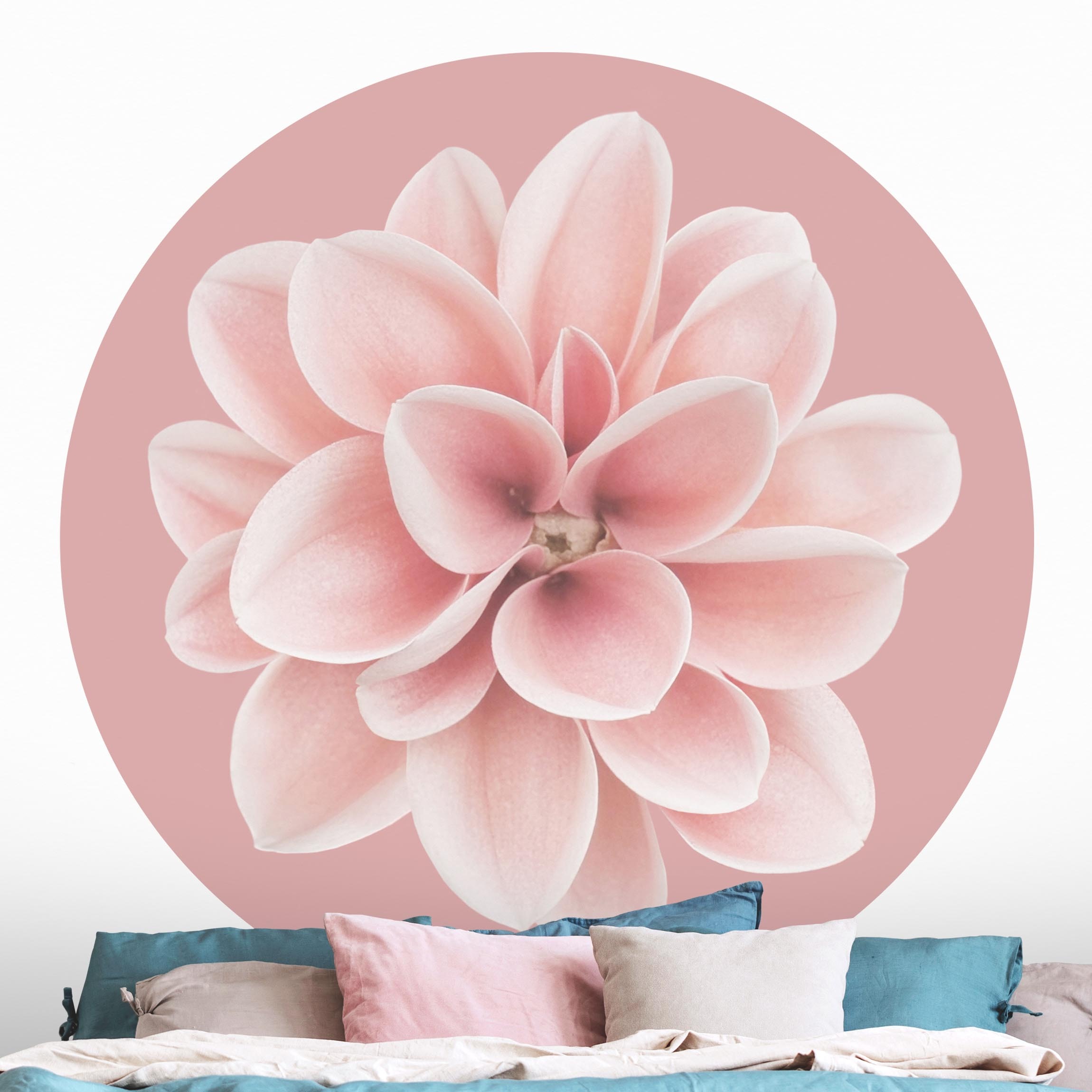 Runde Fototapete Dahlie auf Blush Rosa
