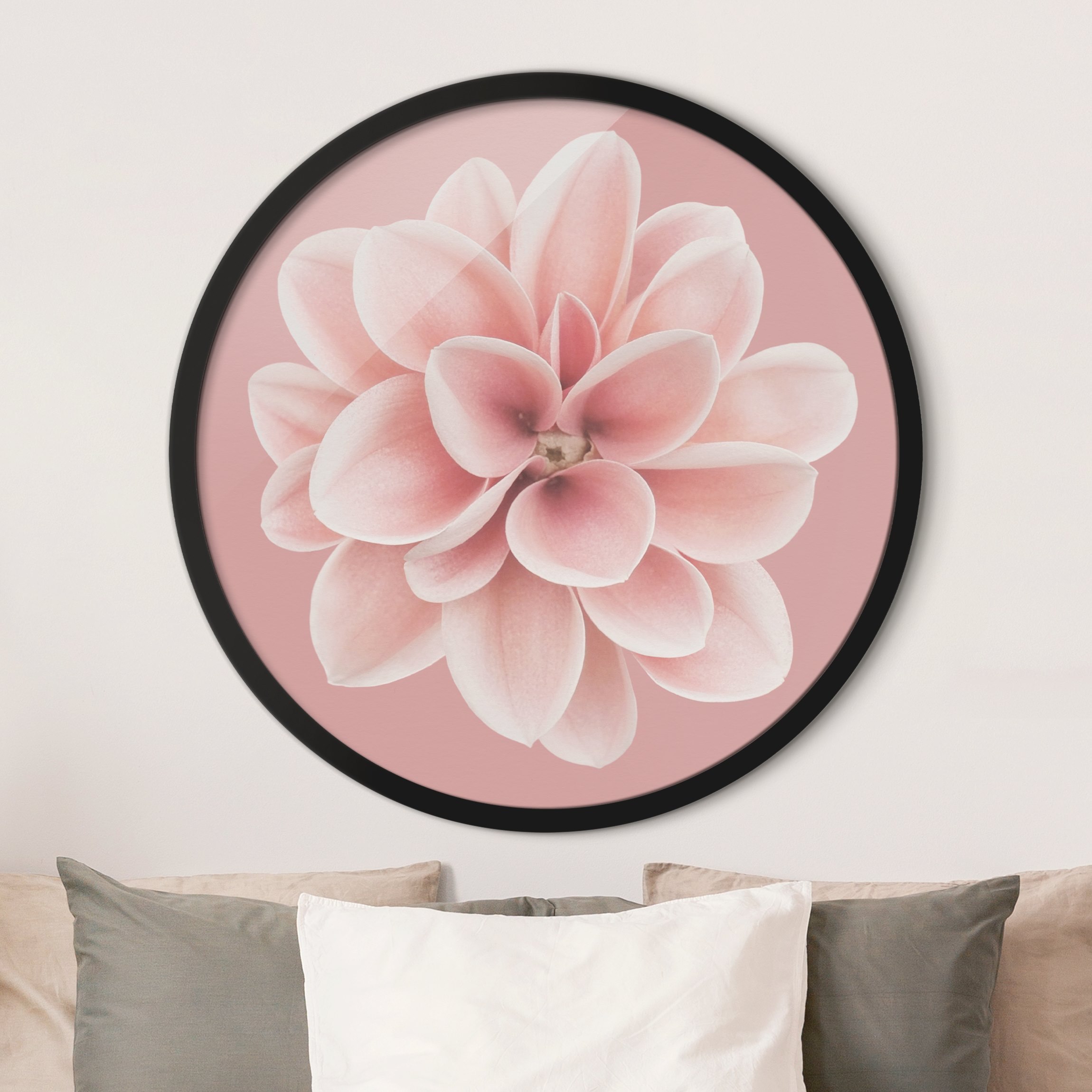 Rundes Bild mit Rahmen Dahlie auf Blush Rosa