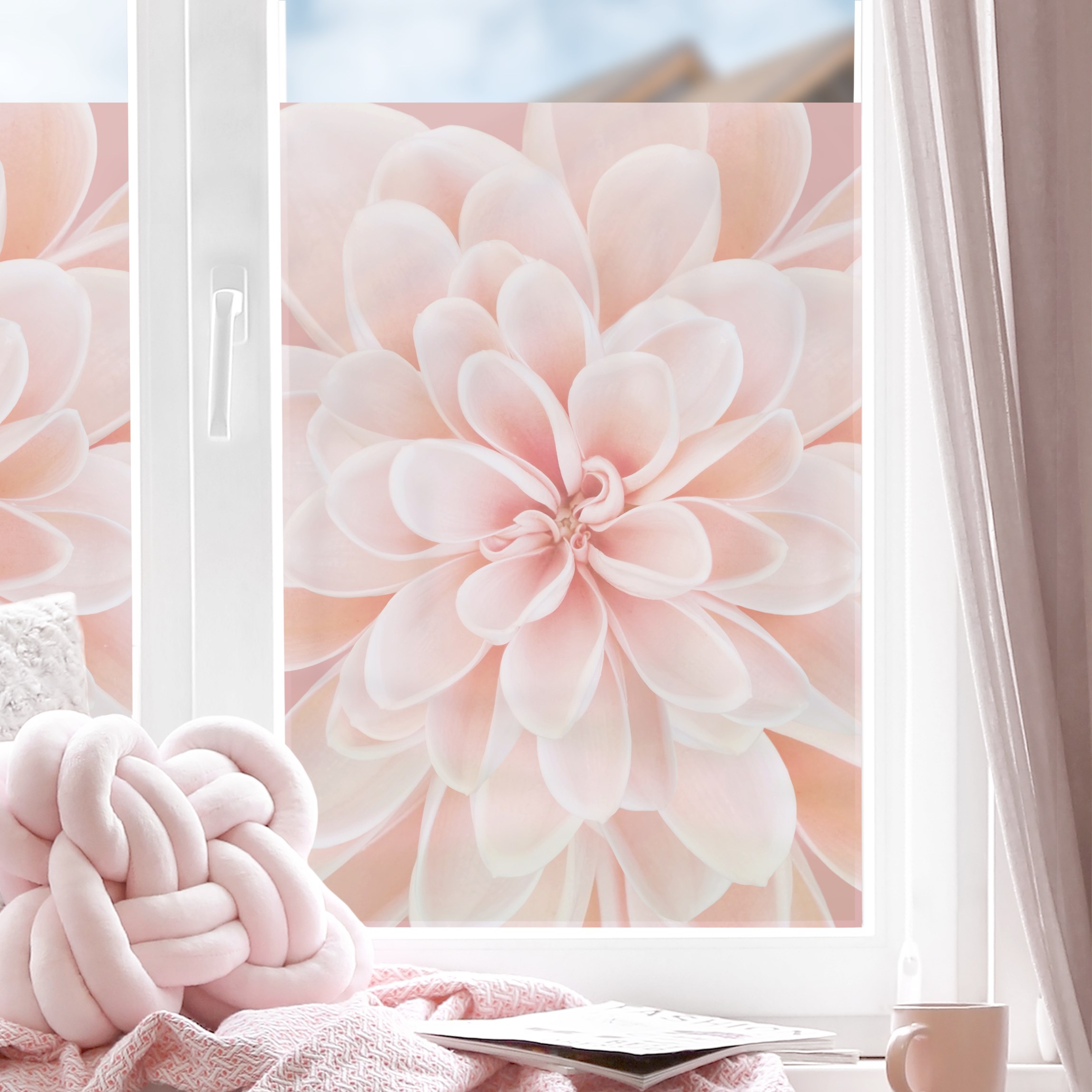 Fensterfolie Dahlie in Pastellrosa