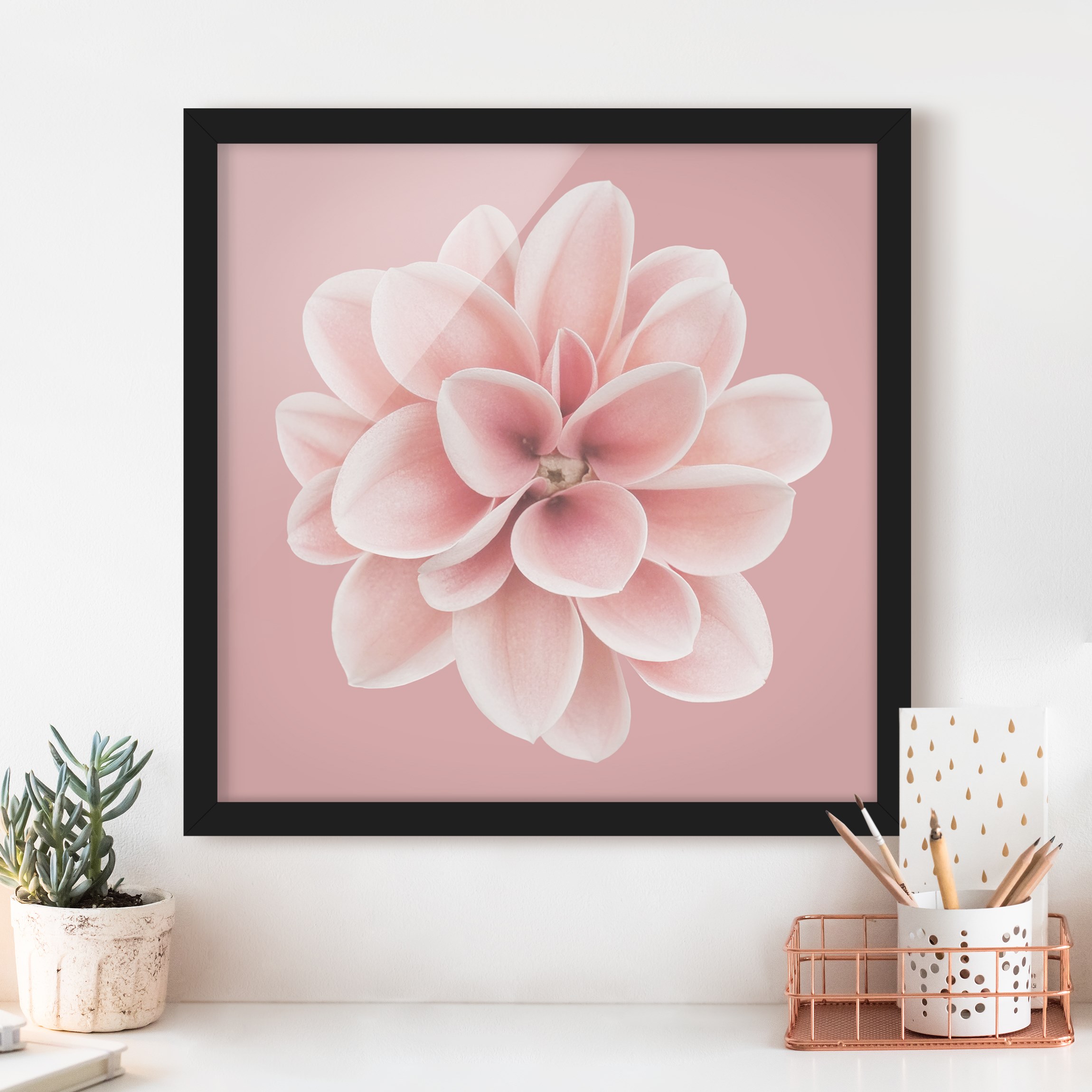 Bild mit Rahmen Dahlie Rosa Blush Blume Zentriert