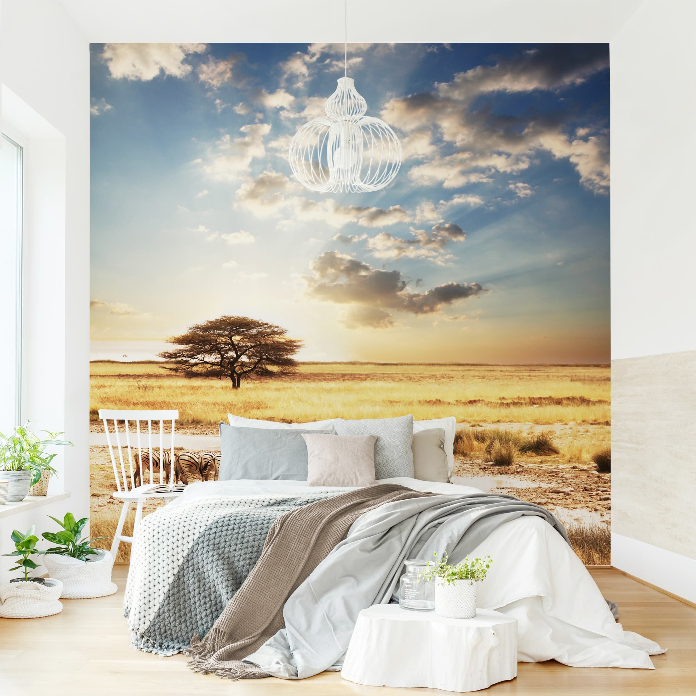 Fototapete Das Leben der Zebras