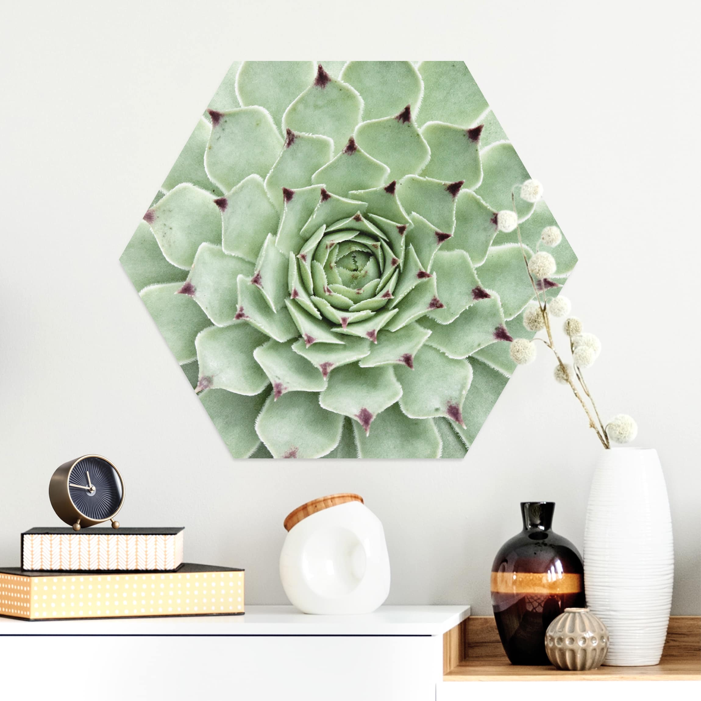 Hexagon-Alu-Dibond Bild Steinrose Jovibarba Hirta