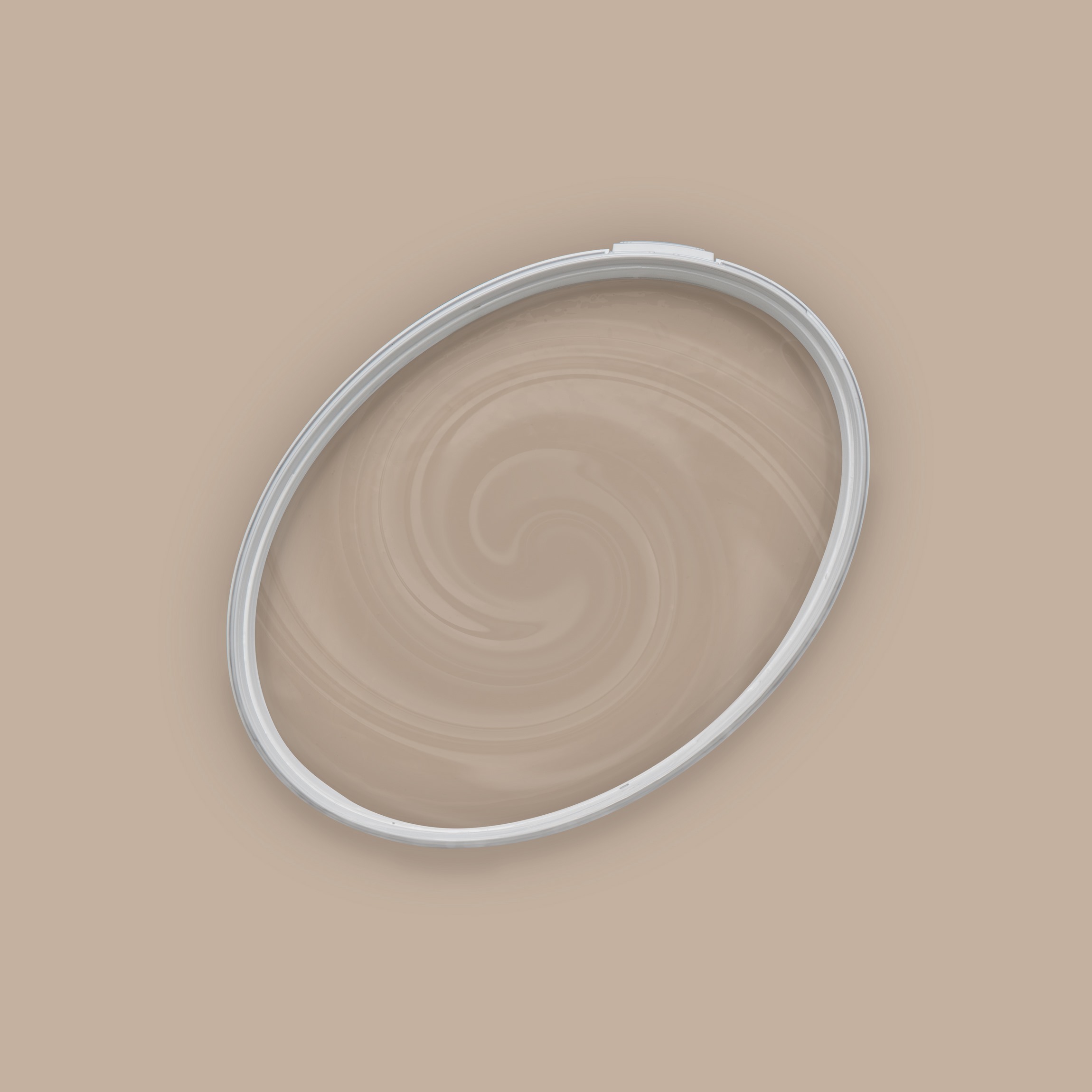 Wandfarbe The Color Kitchen - Matte Mushroom