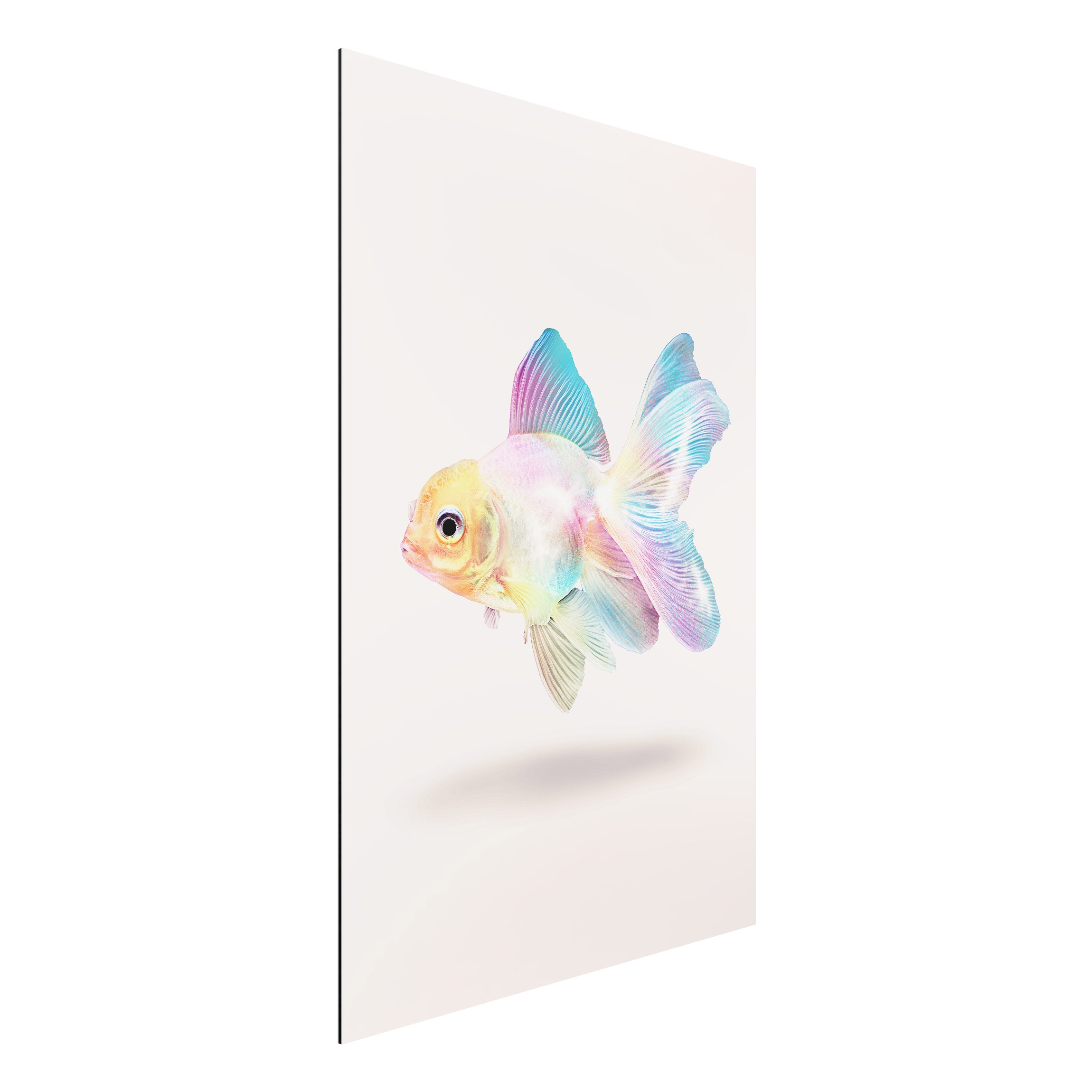 Alu-Dibond Outdoor Bild Fisch in Pastell