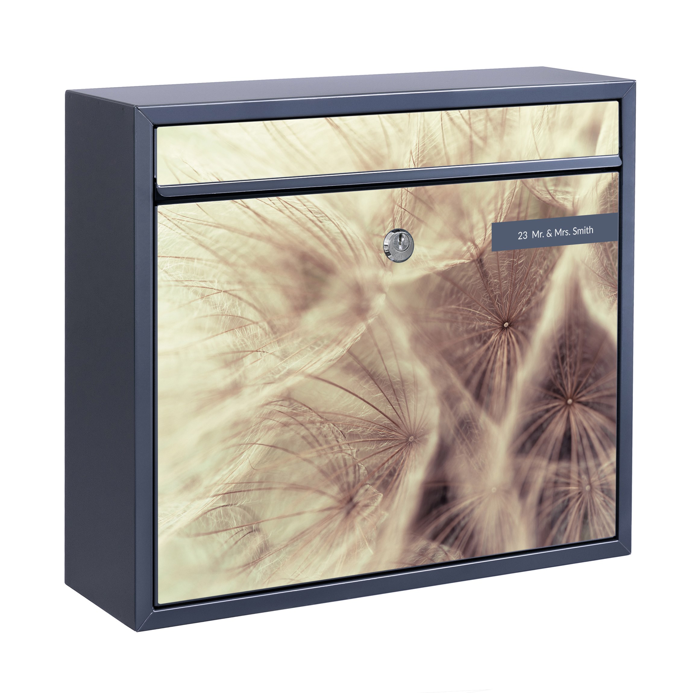 Briefkasten mit eigenem Text Detailreiche Pusteblumen Makroaufnahme mit Vintage Blur Effekt