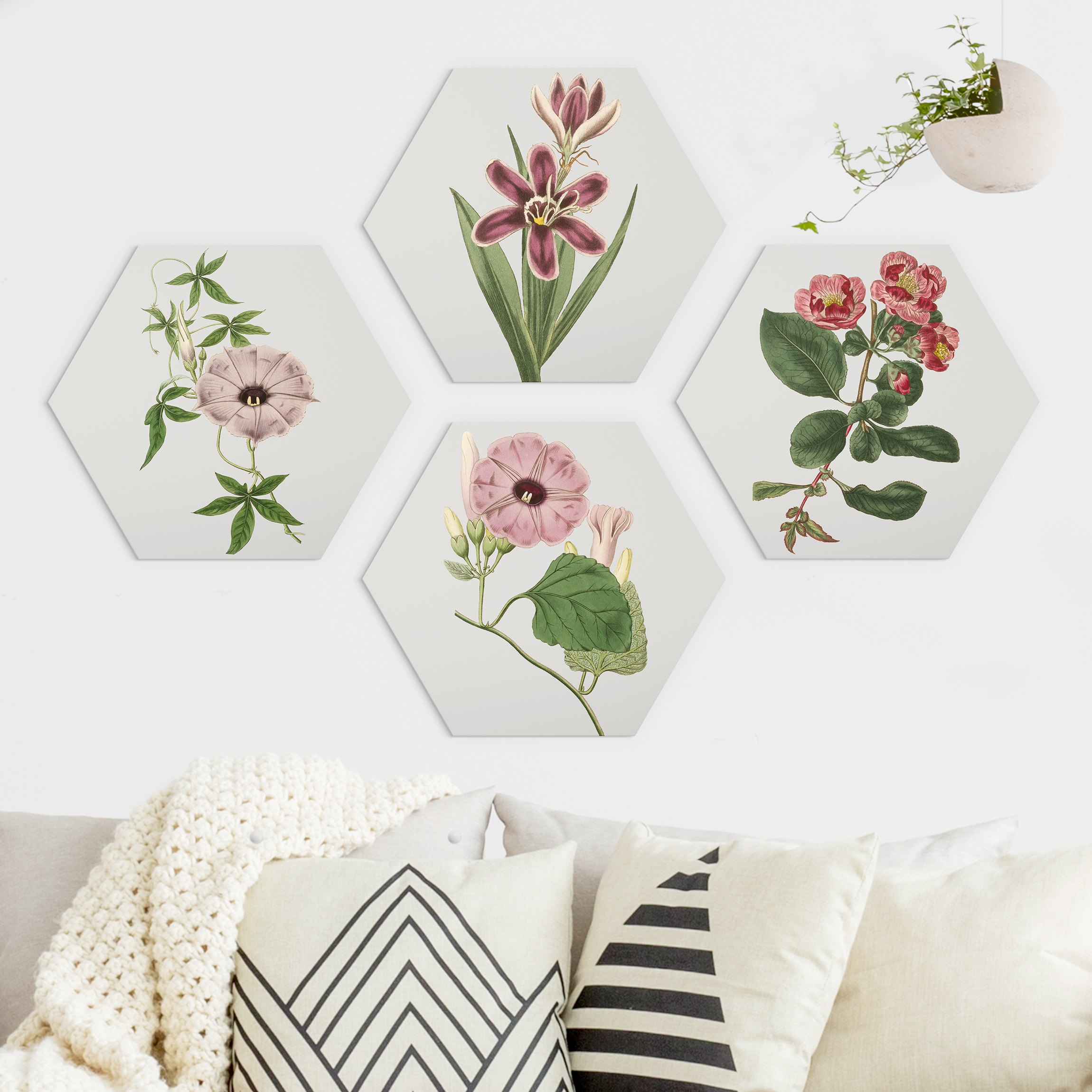 4-teiliges Hexagon-Alu-Dibond Bild Florale Schmuckstücke Set I