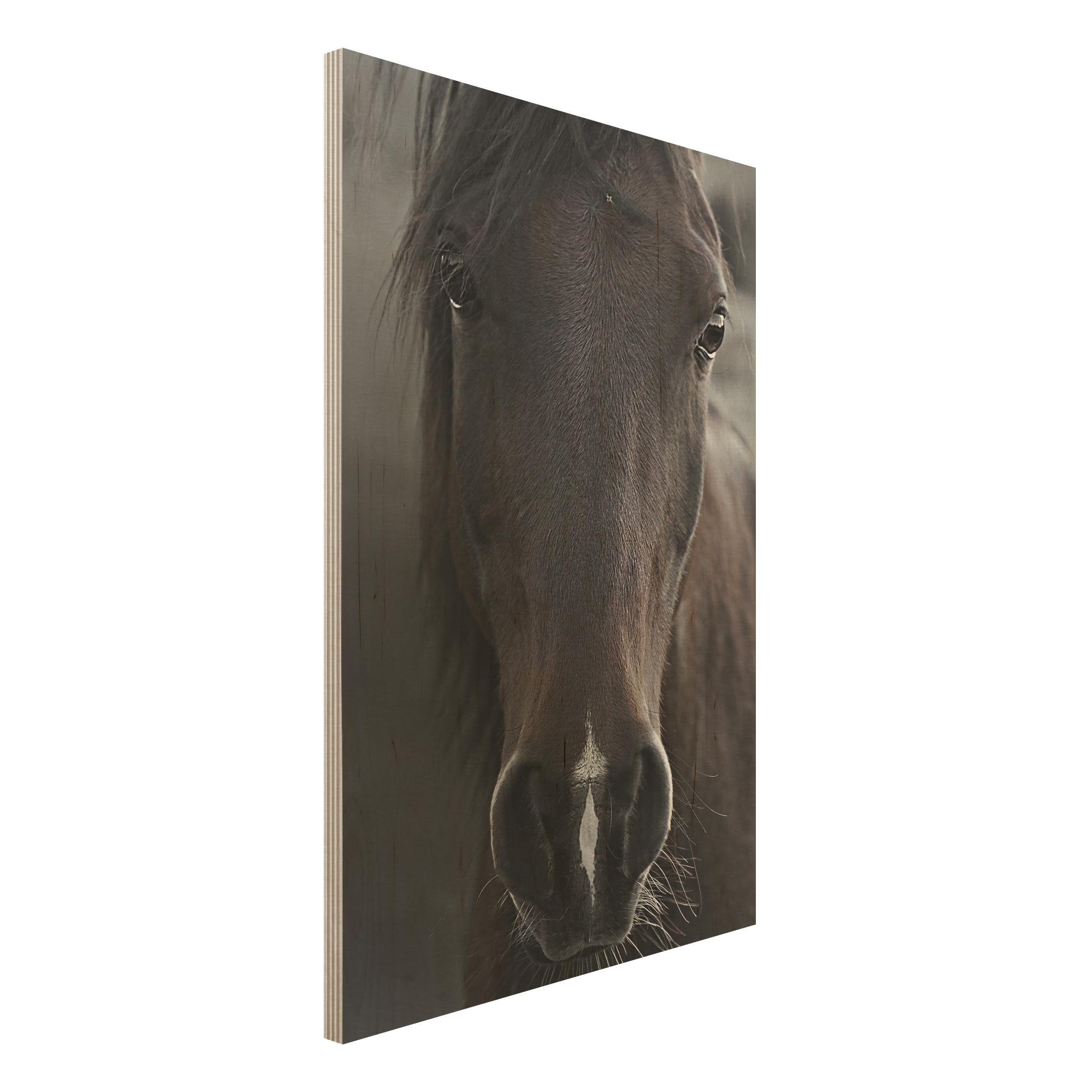 Holzbild Dunkles Pferd
