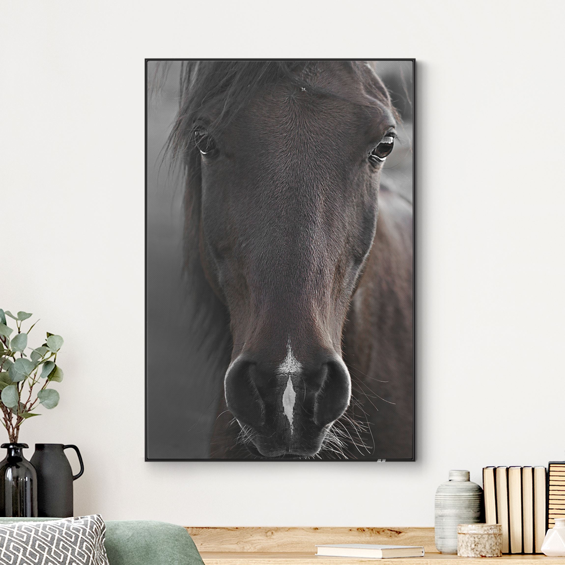 Wechselbild Dunkles Pferd