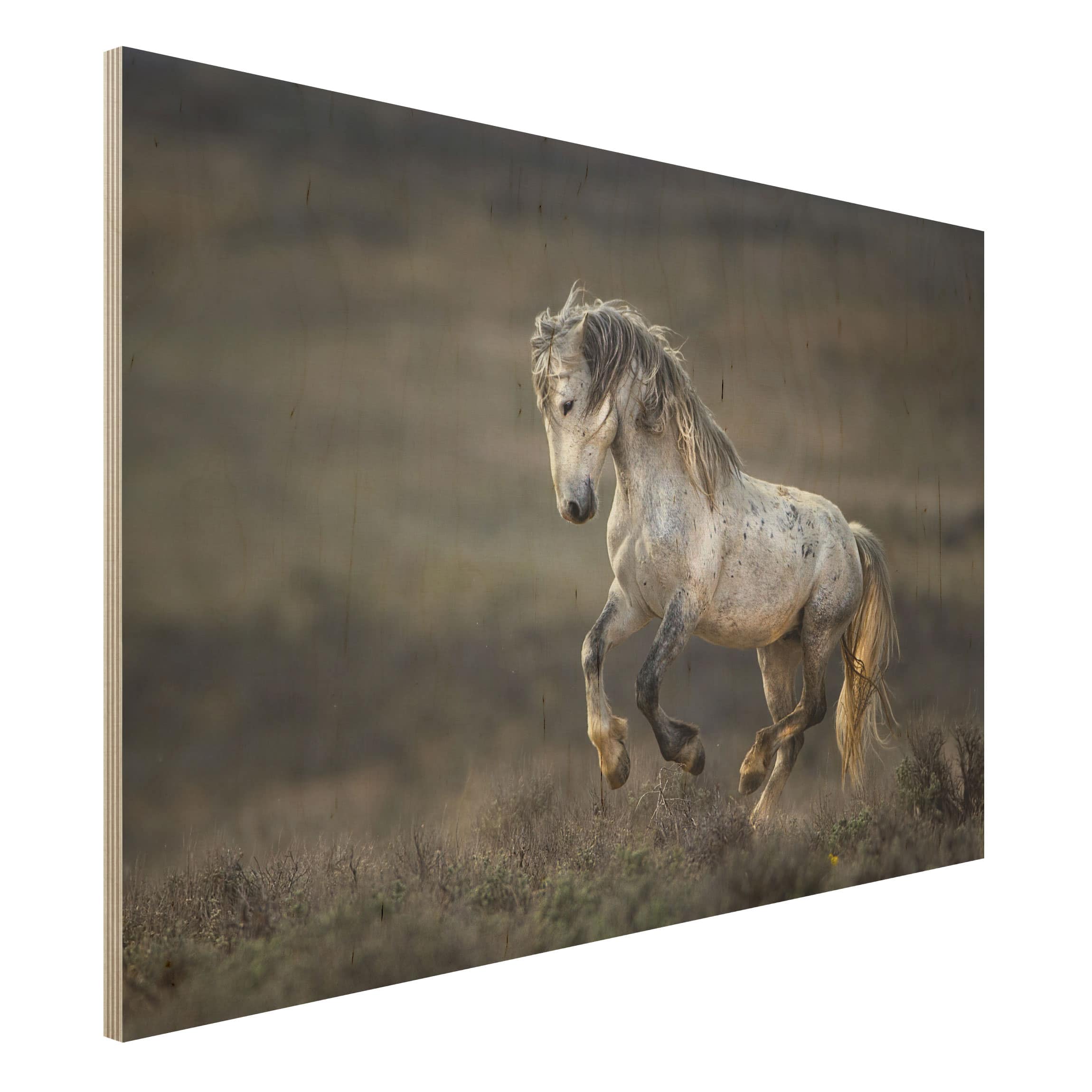 Holzbild Tiere Im Galopp durch die Heide