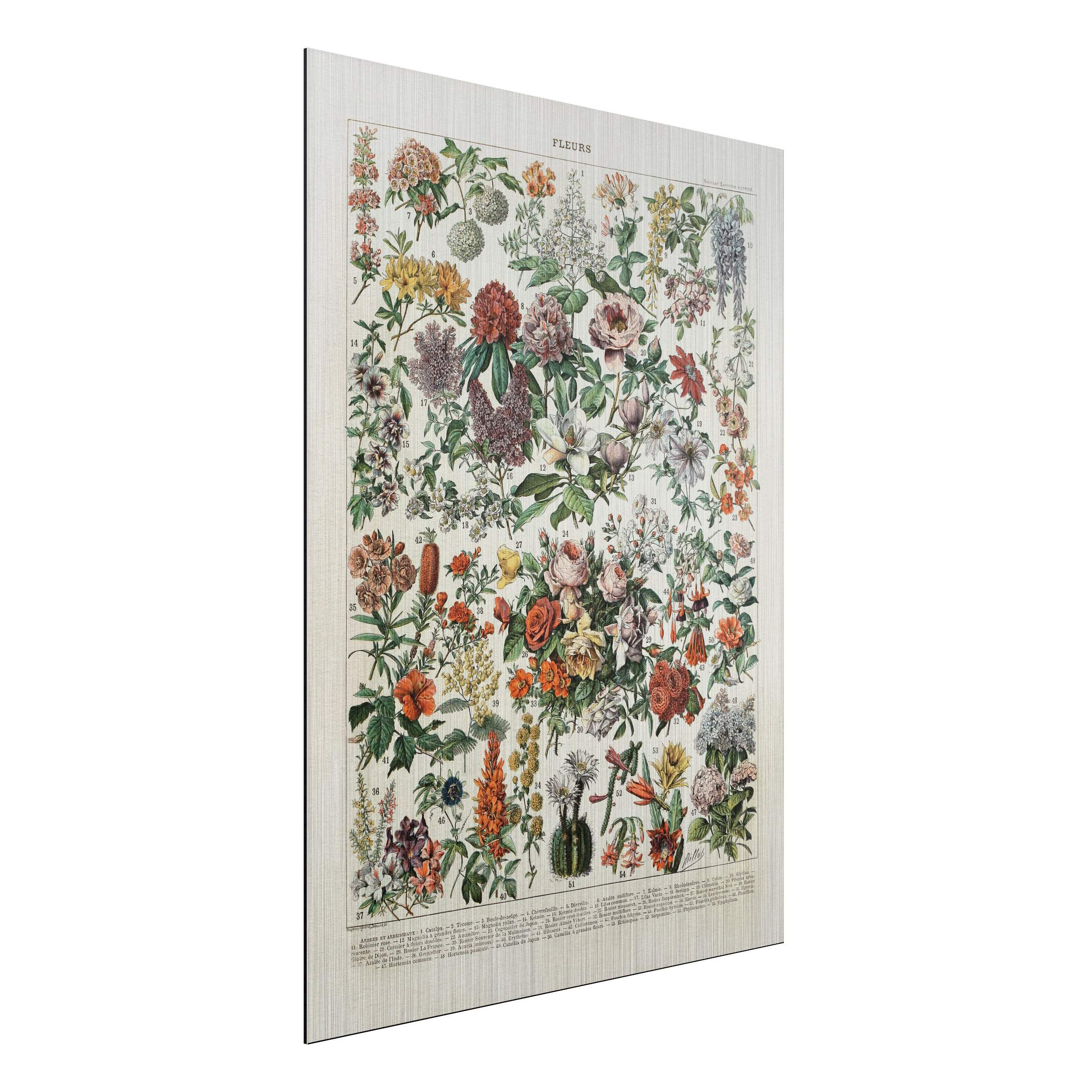 Alu-Dibond Outdoor Bild Vintage Lehrtafel Blumen II