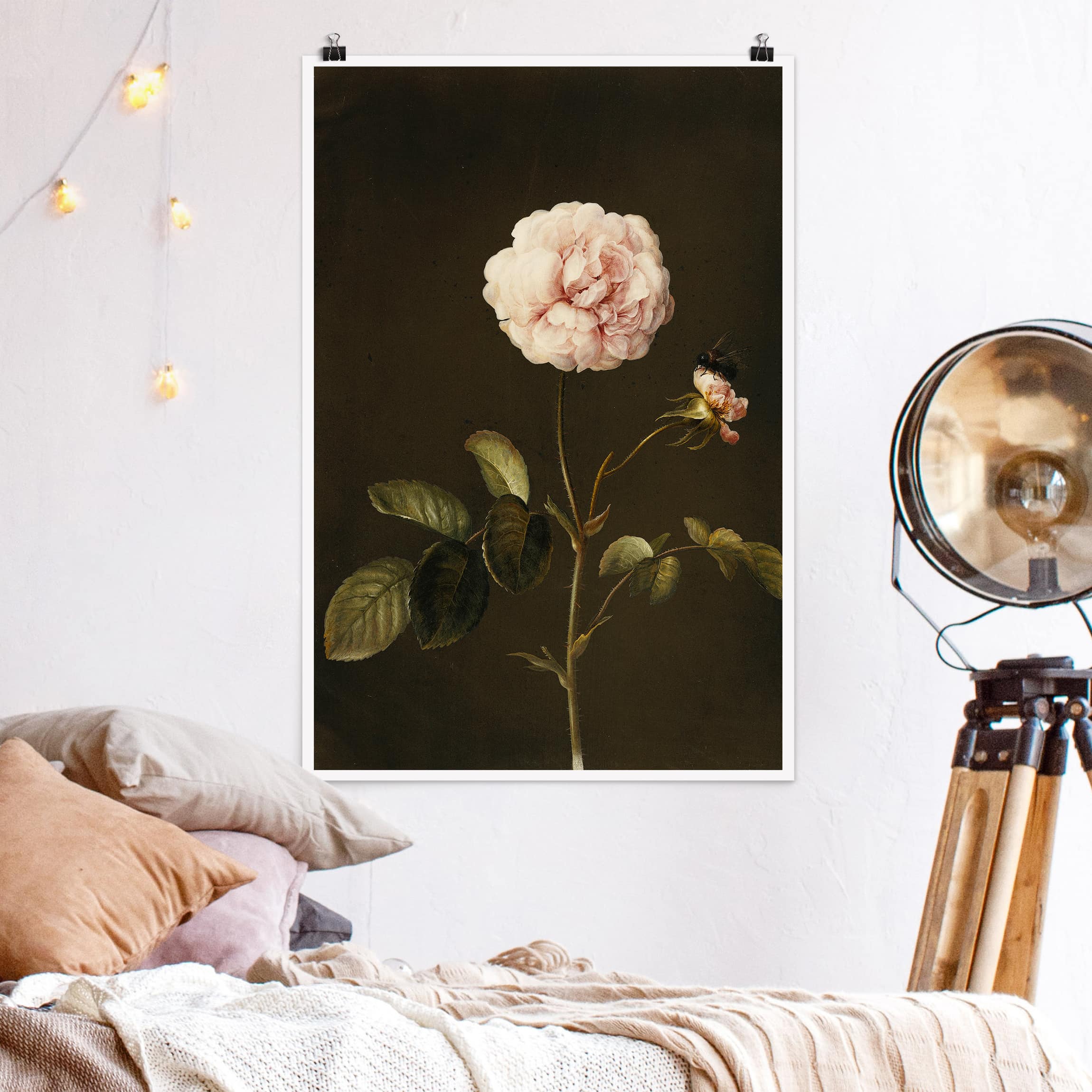 Poster - Hochformat Barbara Regina Dietzsch - Essig-Rose mit Hummel