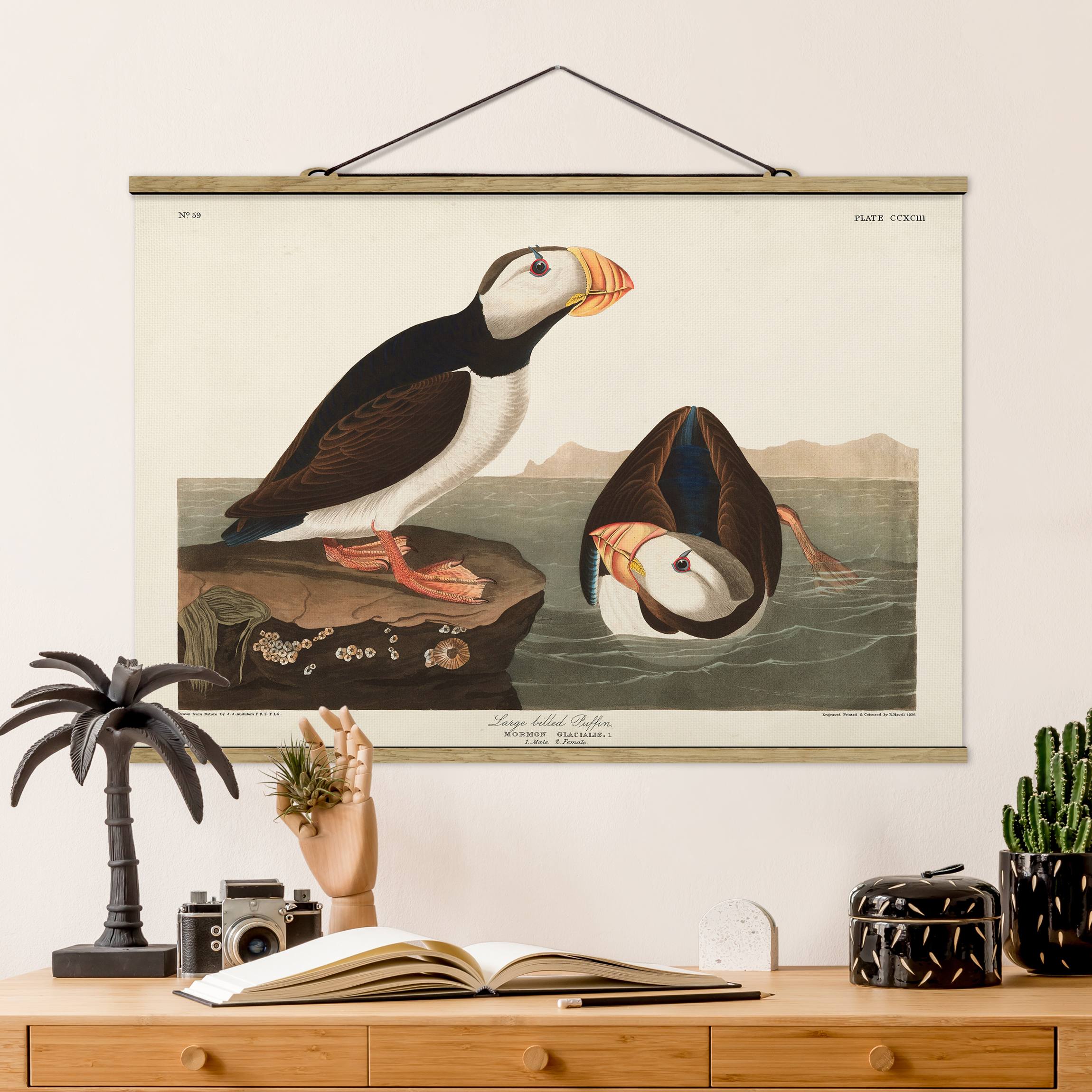 Stoffbild mit Posterleisten Vintage Lehrtafel Papageientaucher II