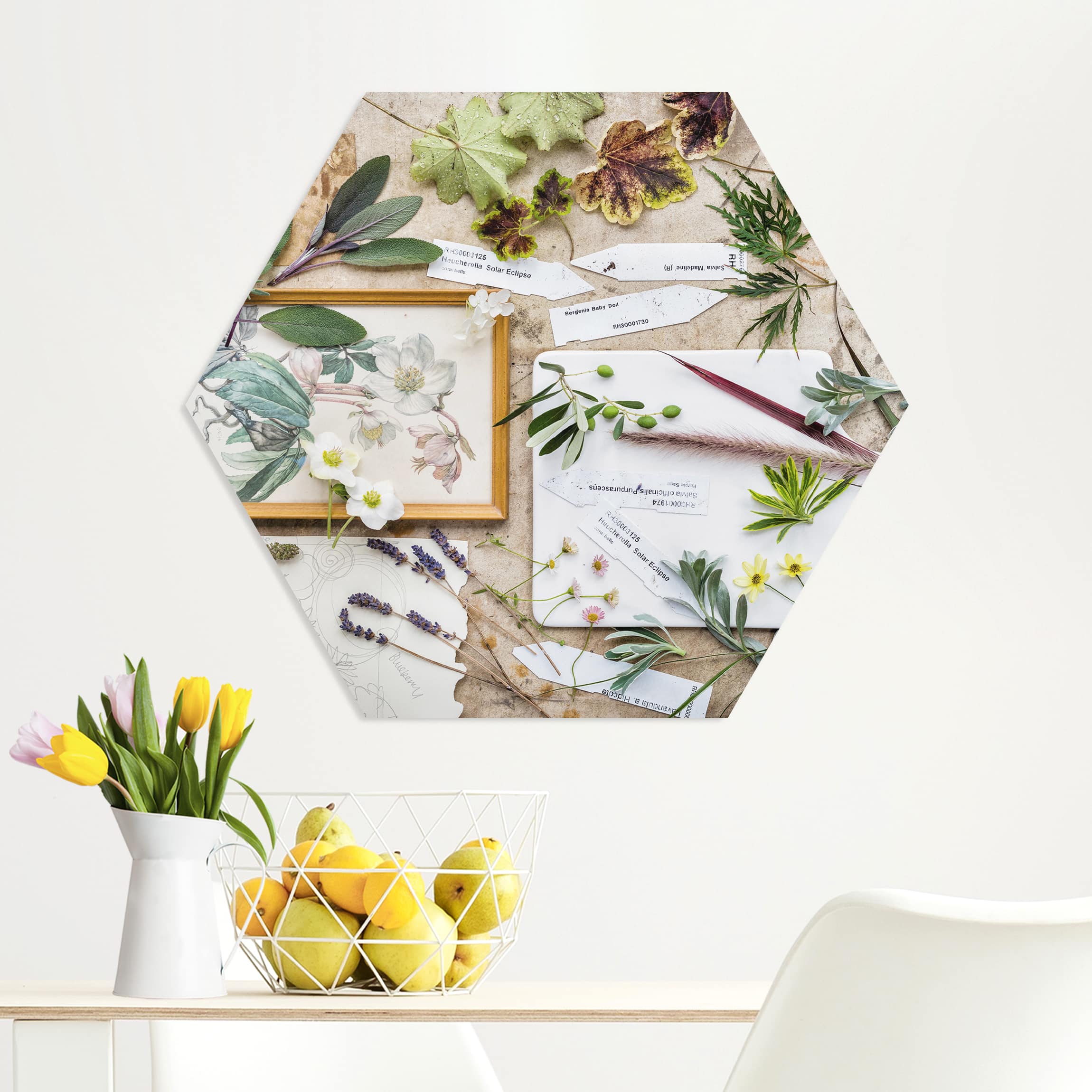 Hexagon-Forexbild Blumen und Gartenkräuter Vintage