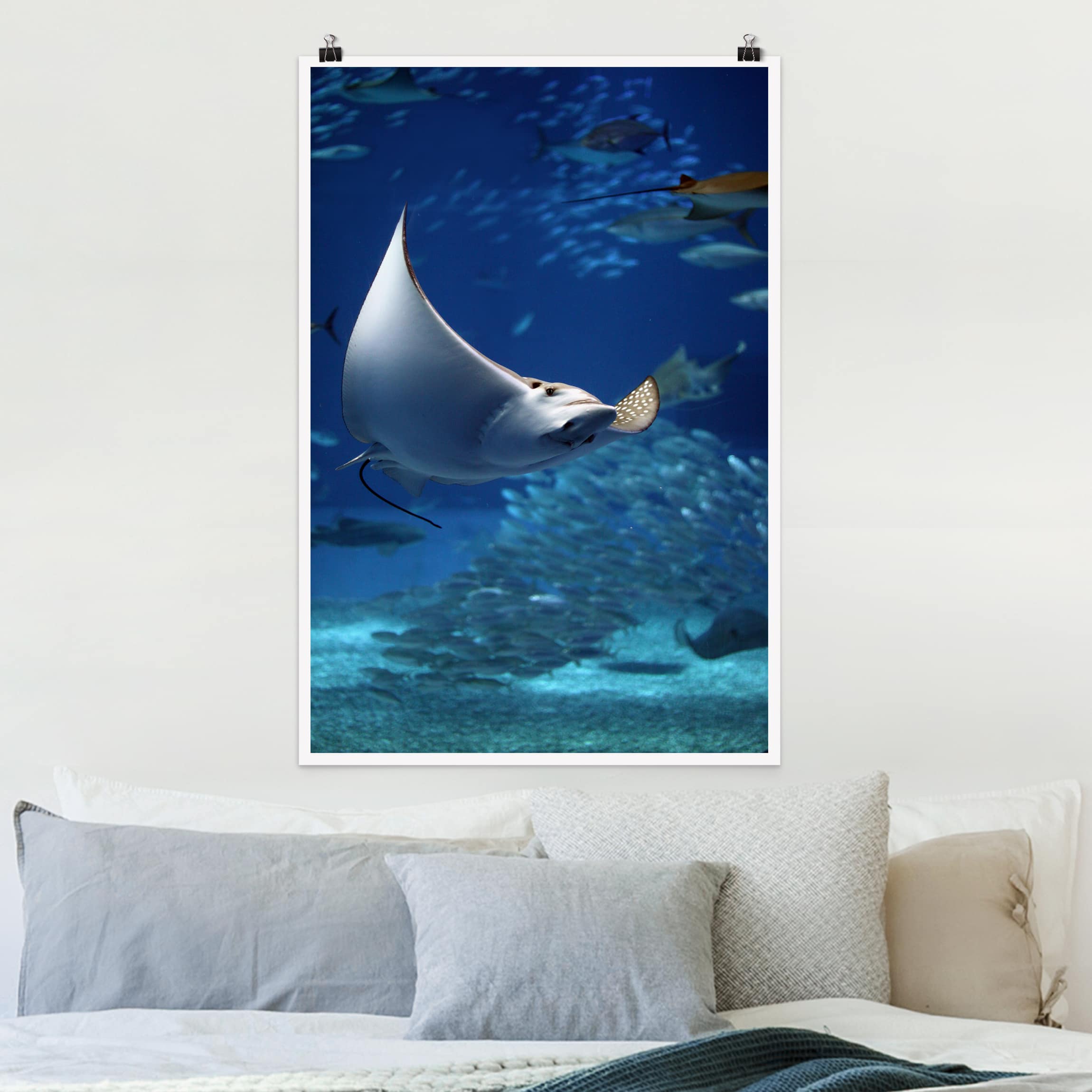 Poster - Hochformat Batoidea