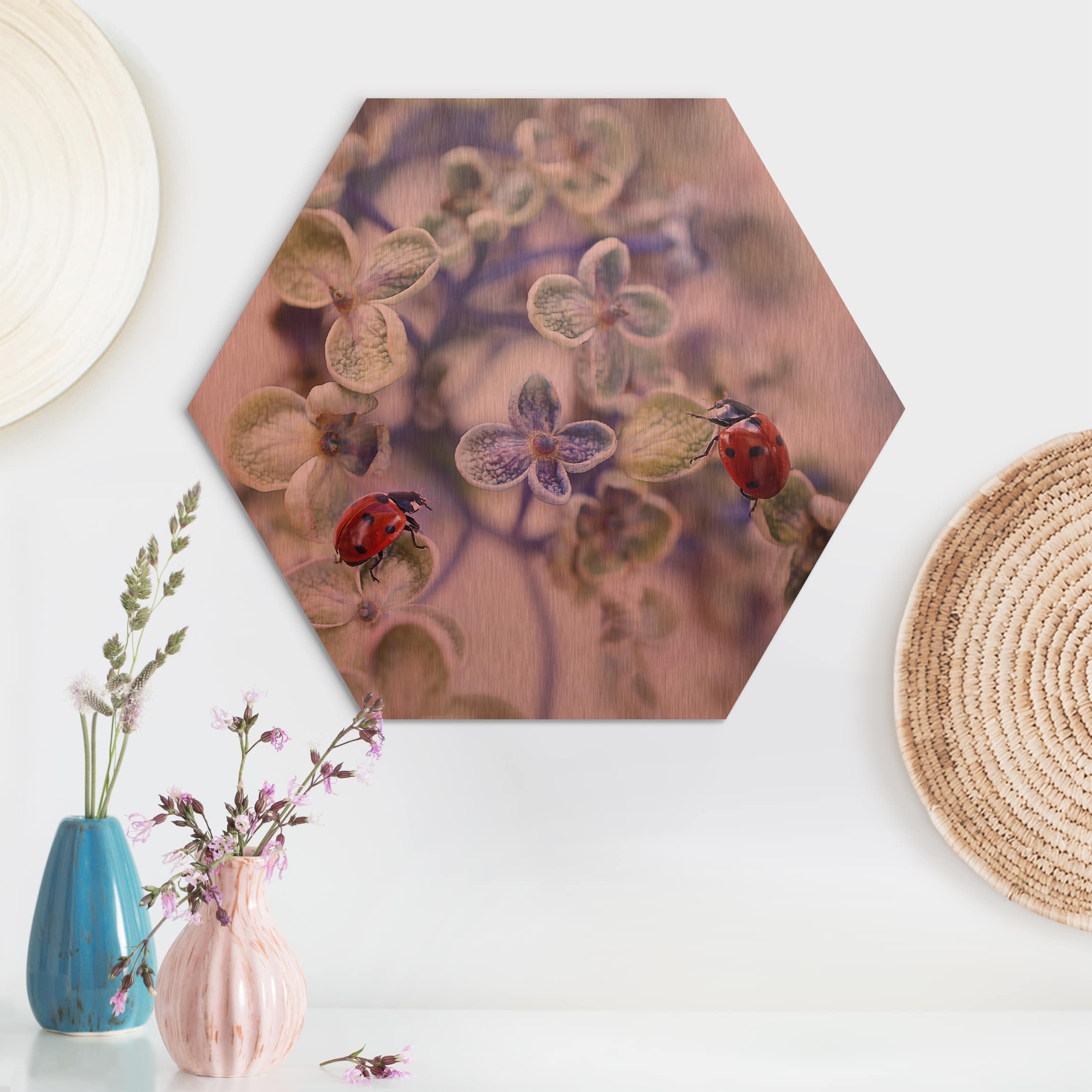 Hexagon-Alu-Dibond Bild Marienkäfer im Garten