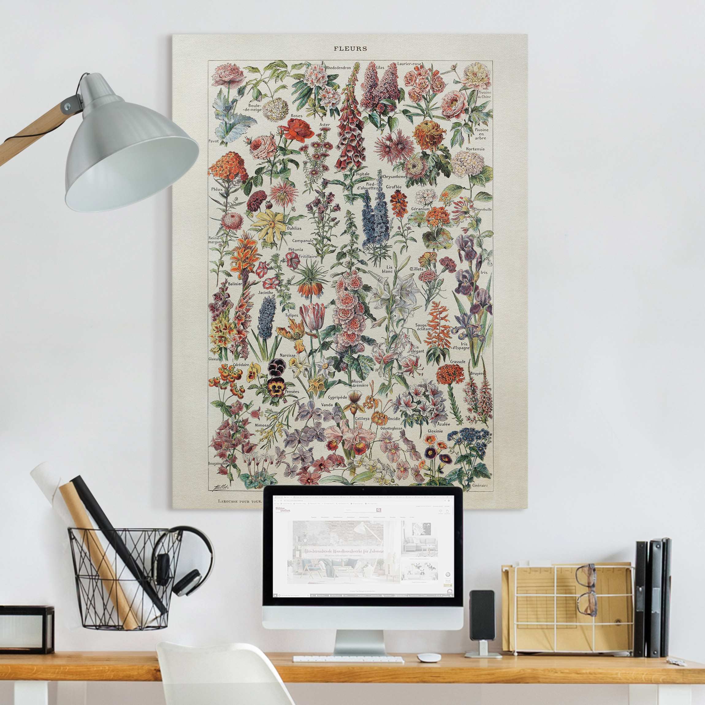 Leinwandbild Vintage Lehrtafel Blumen V