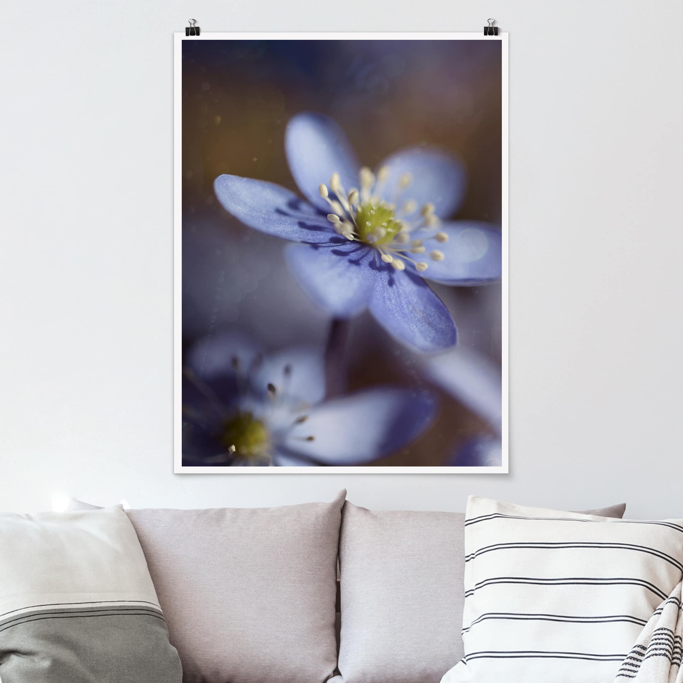 Poster - Hochformat Anemonen in Blau
